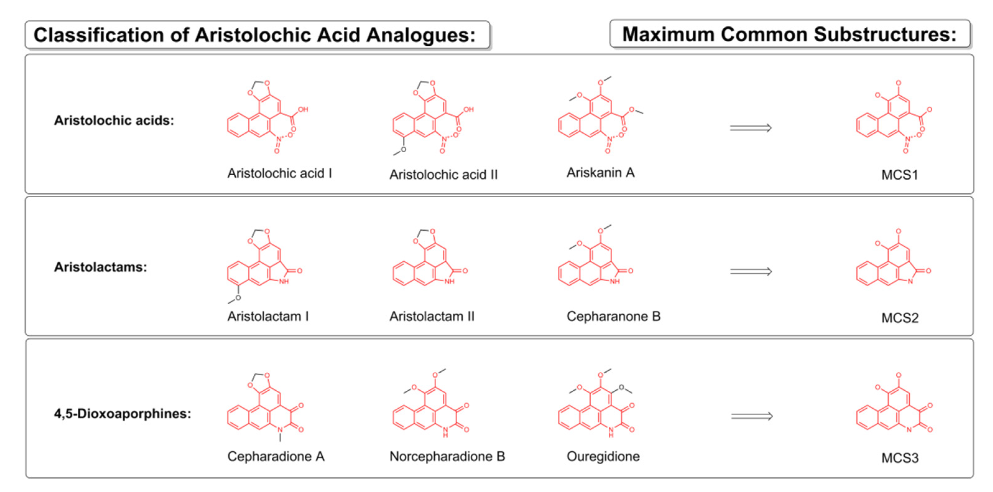 Biomolecules 11 01344 g001