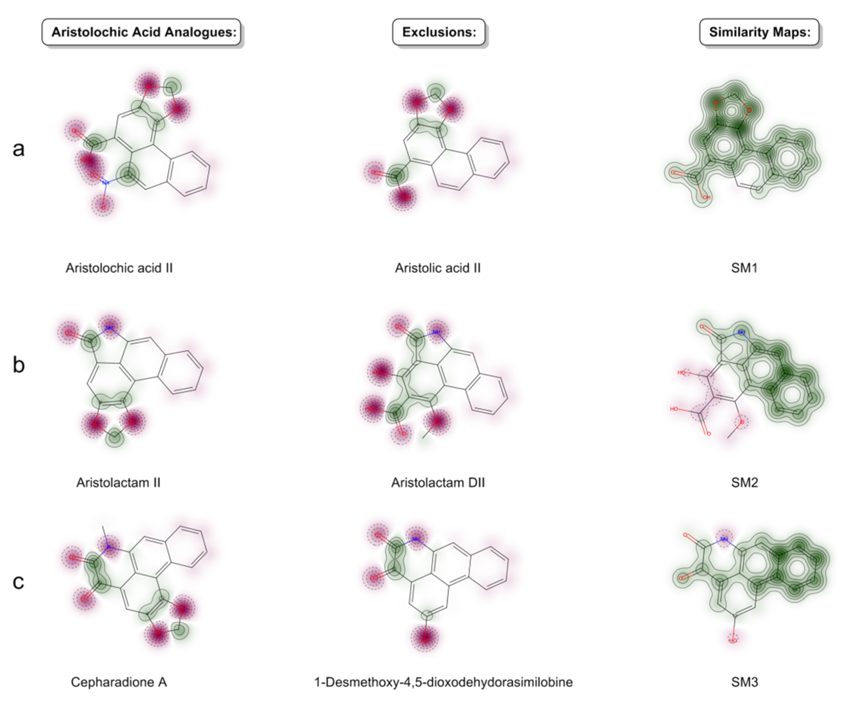 Biomolecules 11 01344 g010