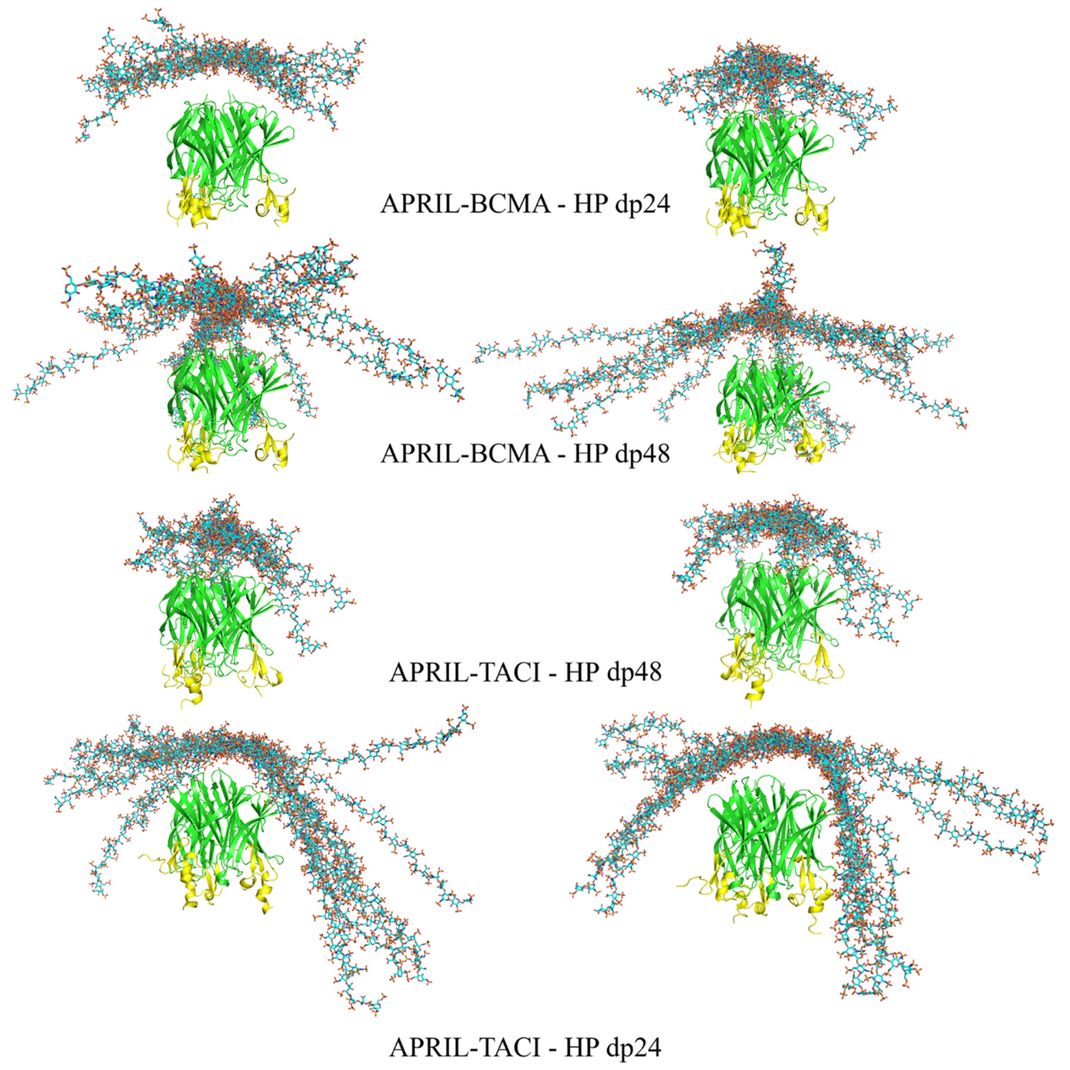 Biomolecules 11 01349 g003