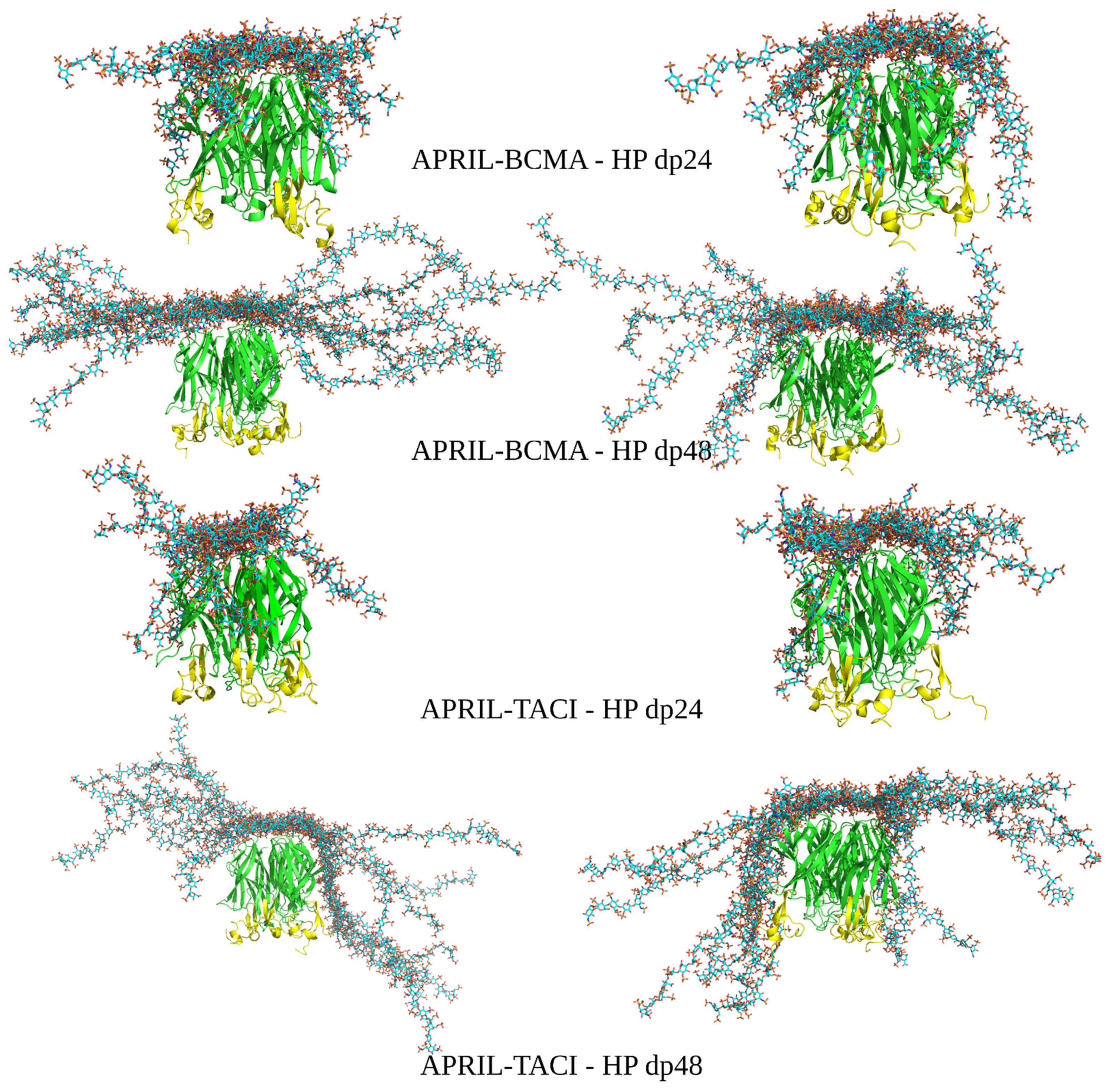 Biomolecules 11 01349 g004