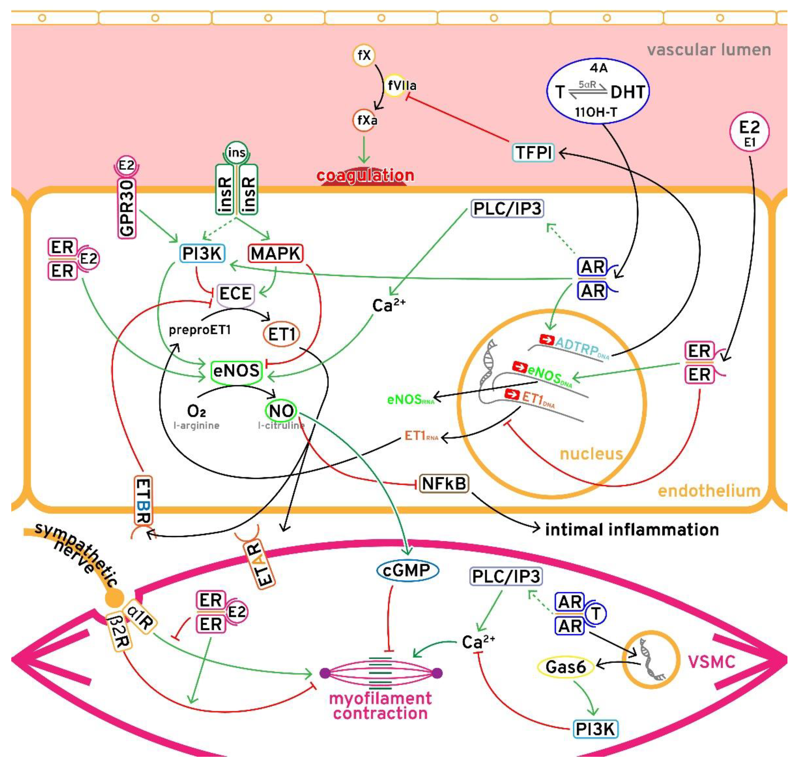 Biomolecules 11 01350 g001