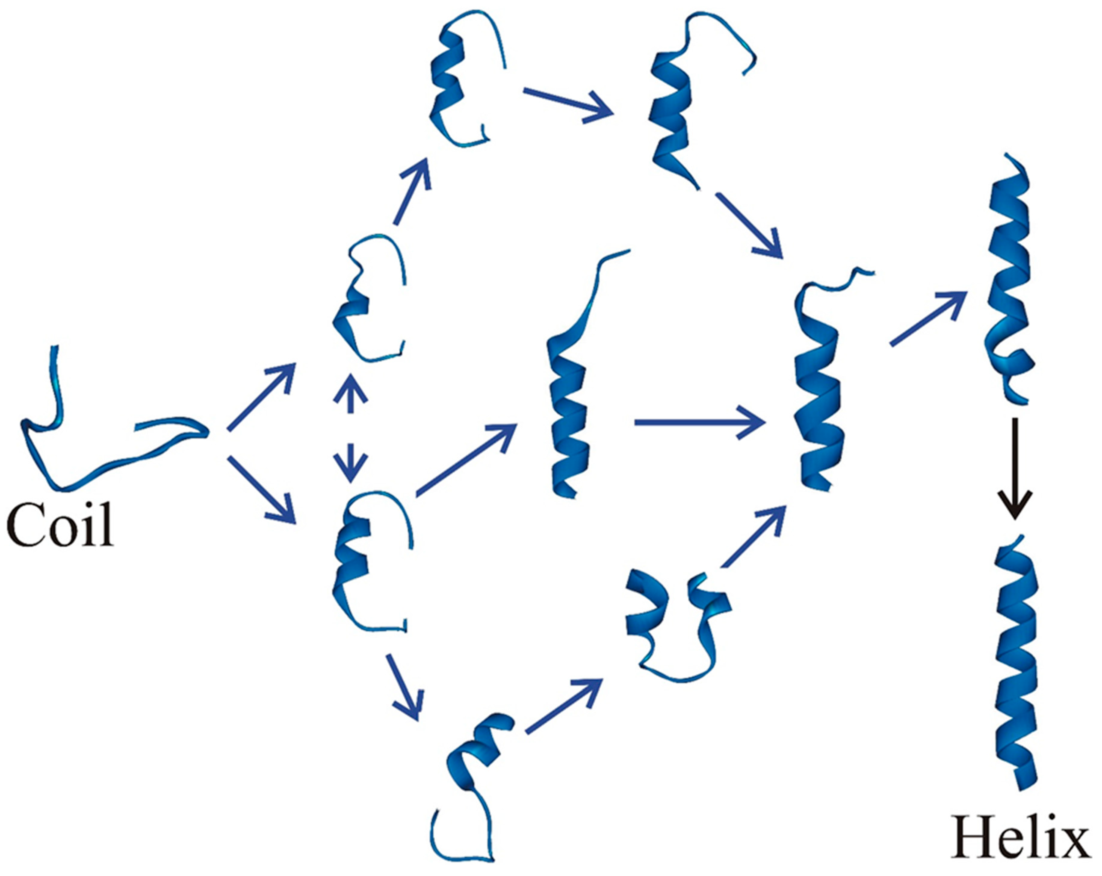 Biomolecules 11 01351 g002