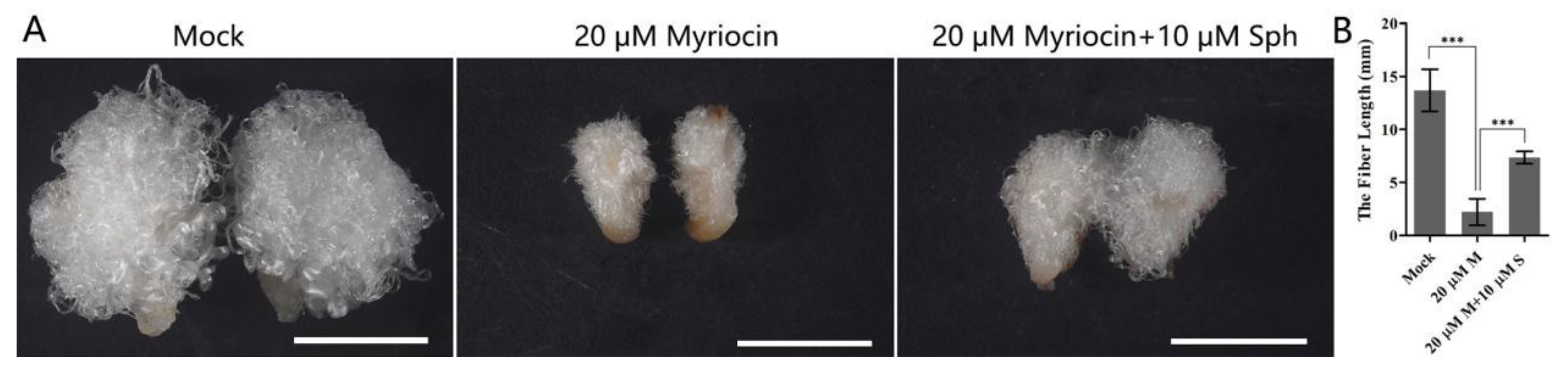 Biomolecules 11 01352 g007