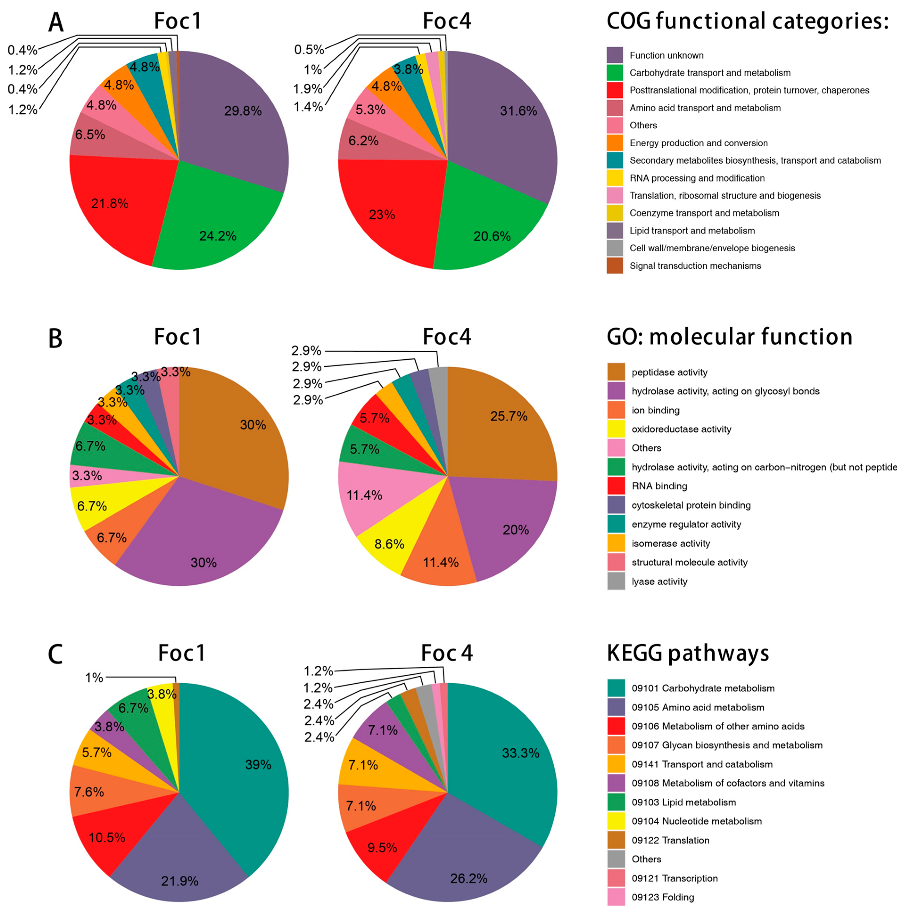 Biomolecules 11 01353 g002