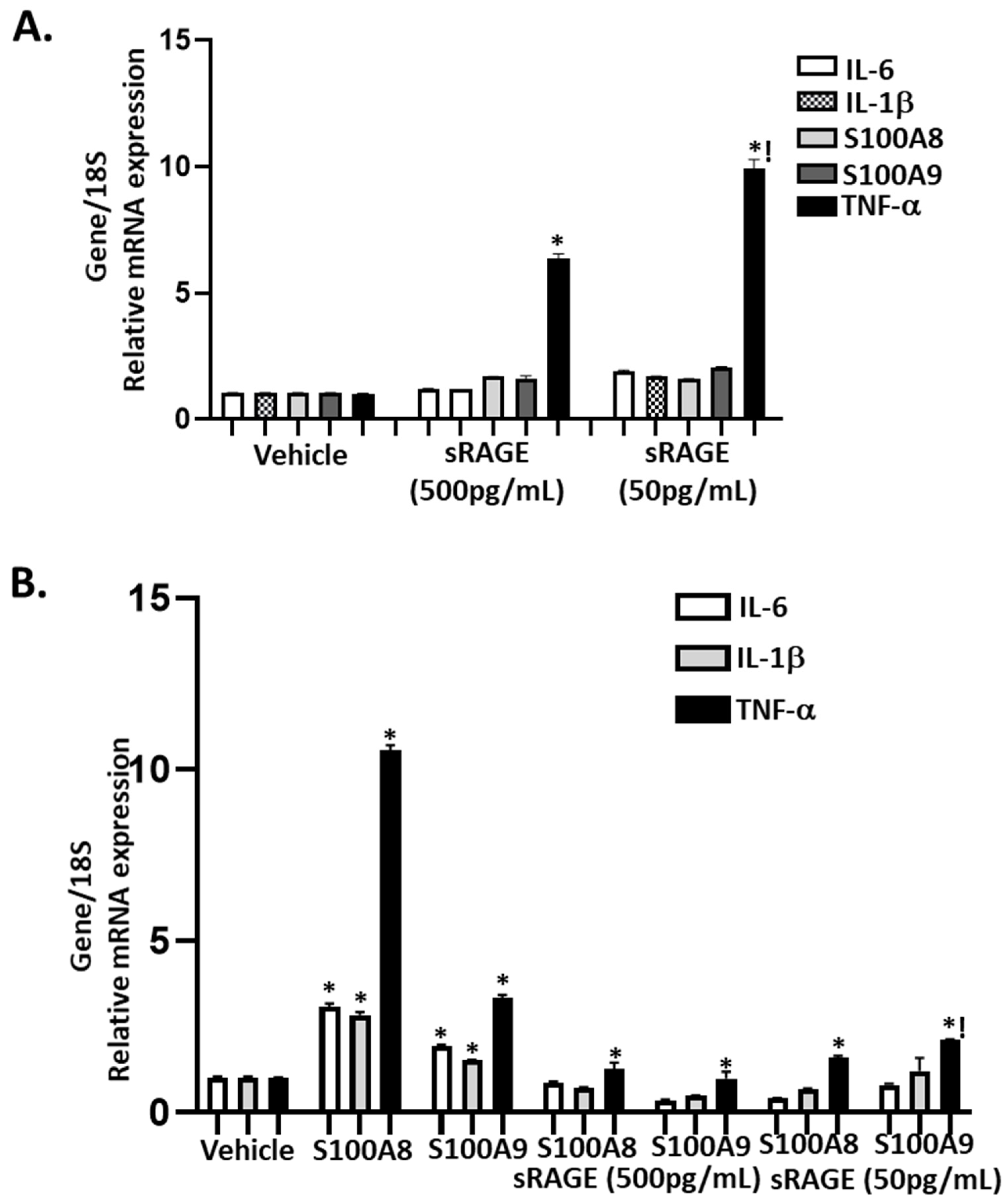 Biomolecules 11 01354 g005