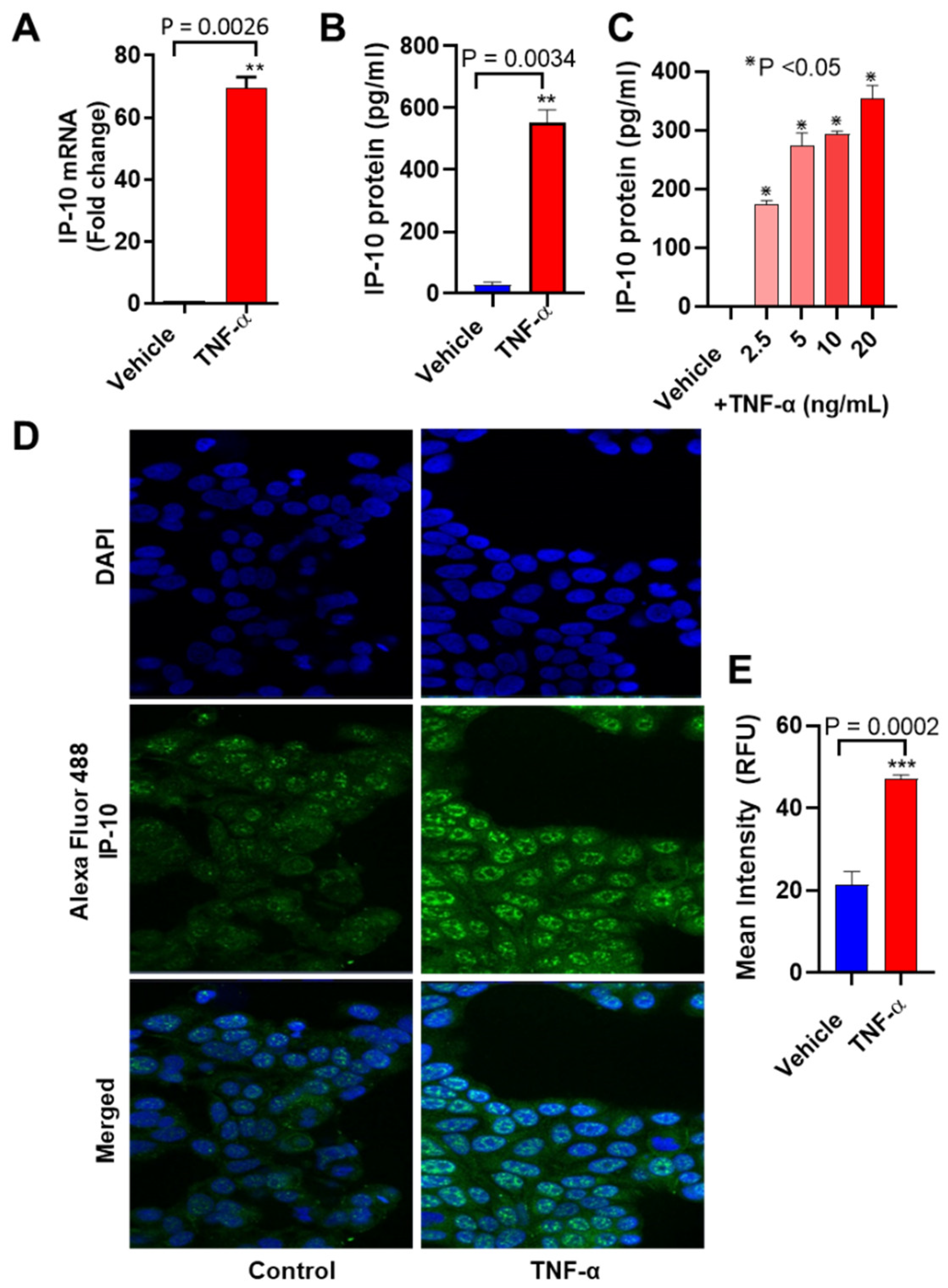 Biomolecules 11 01355 g001