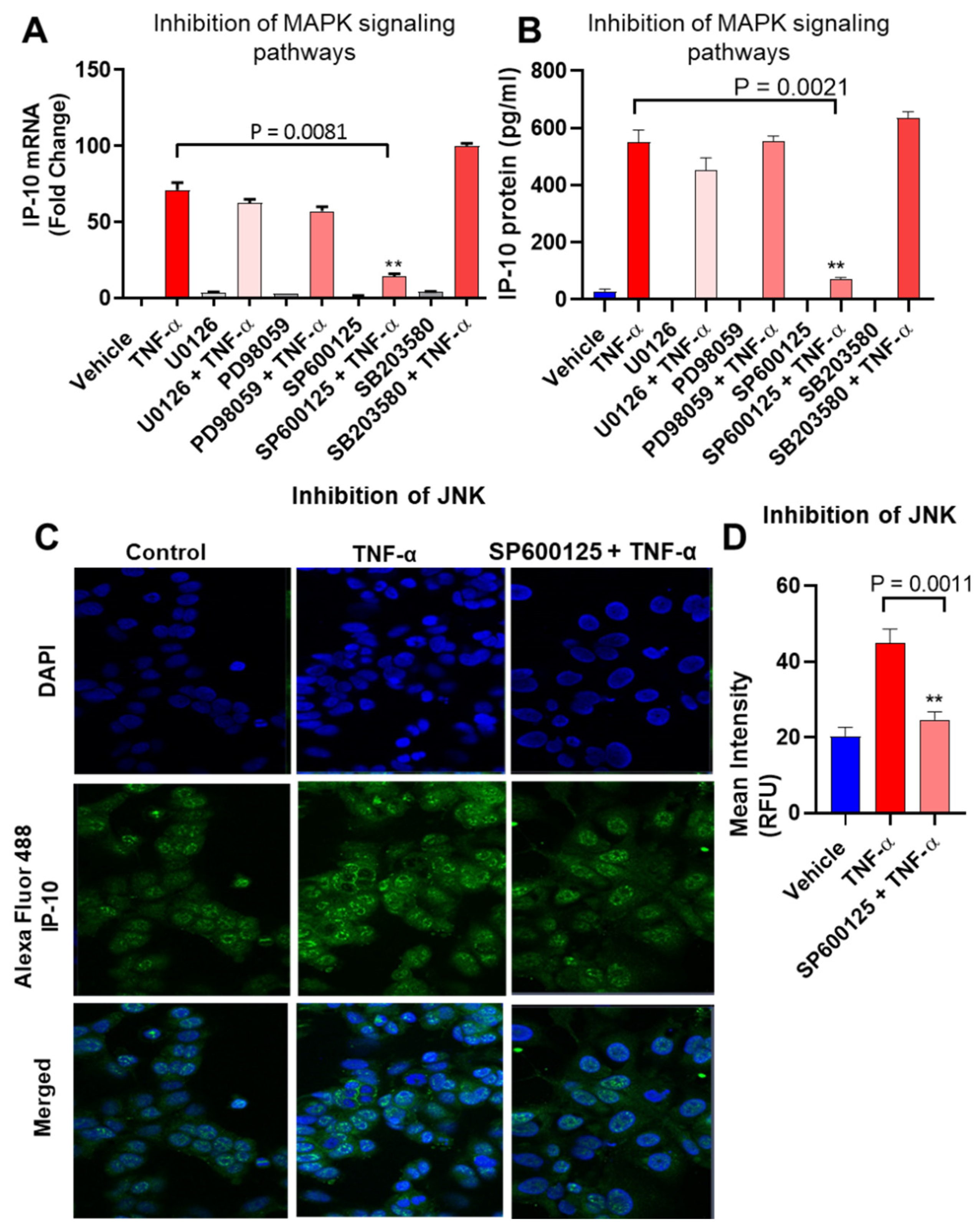 Biomolecules 11 01355 g002