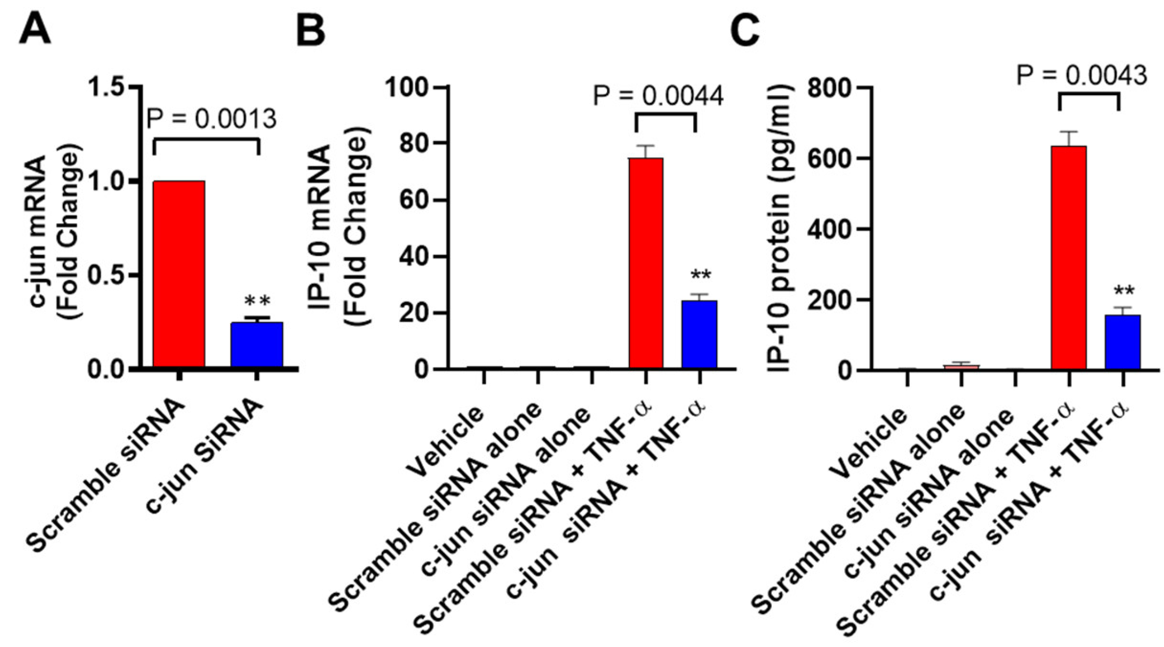 Biomolecules 11 01355 g004