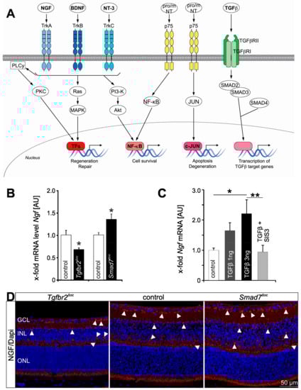 Biomolecules 11 01360 g001
