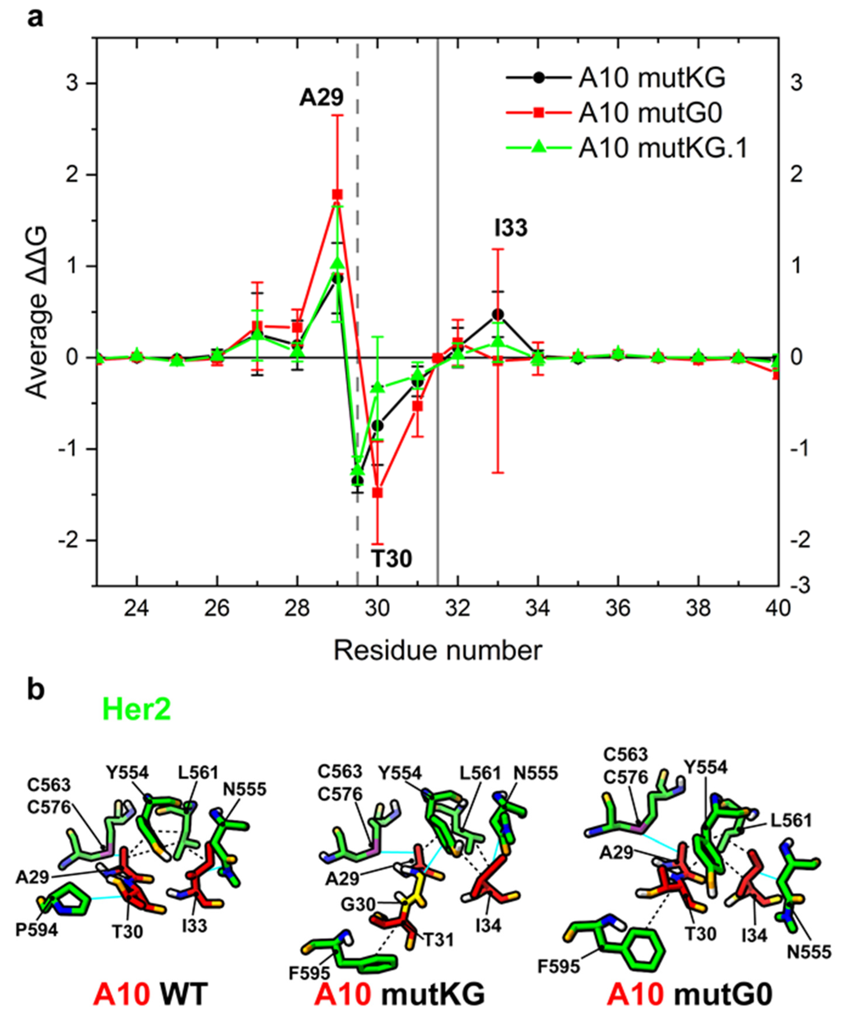 Biomolecules 11 01362 g003