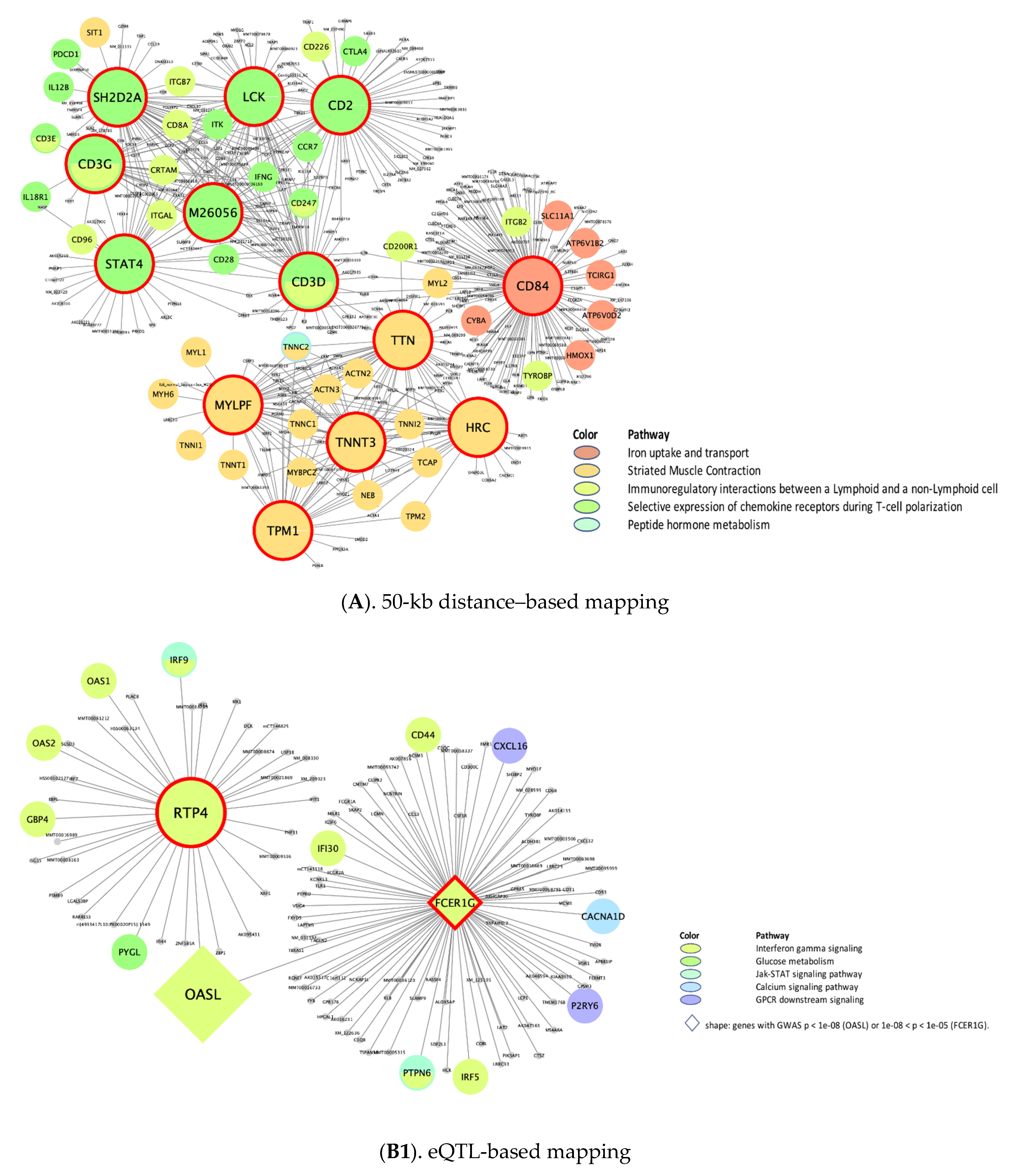 Biomolecules 11 01379 g003a