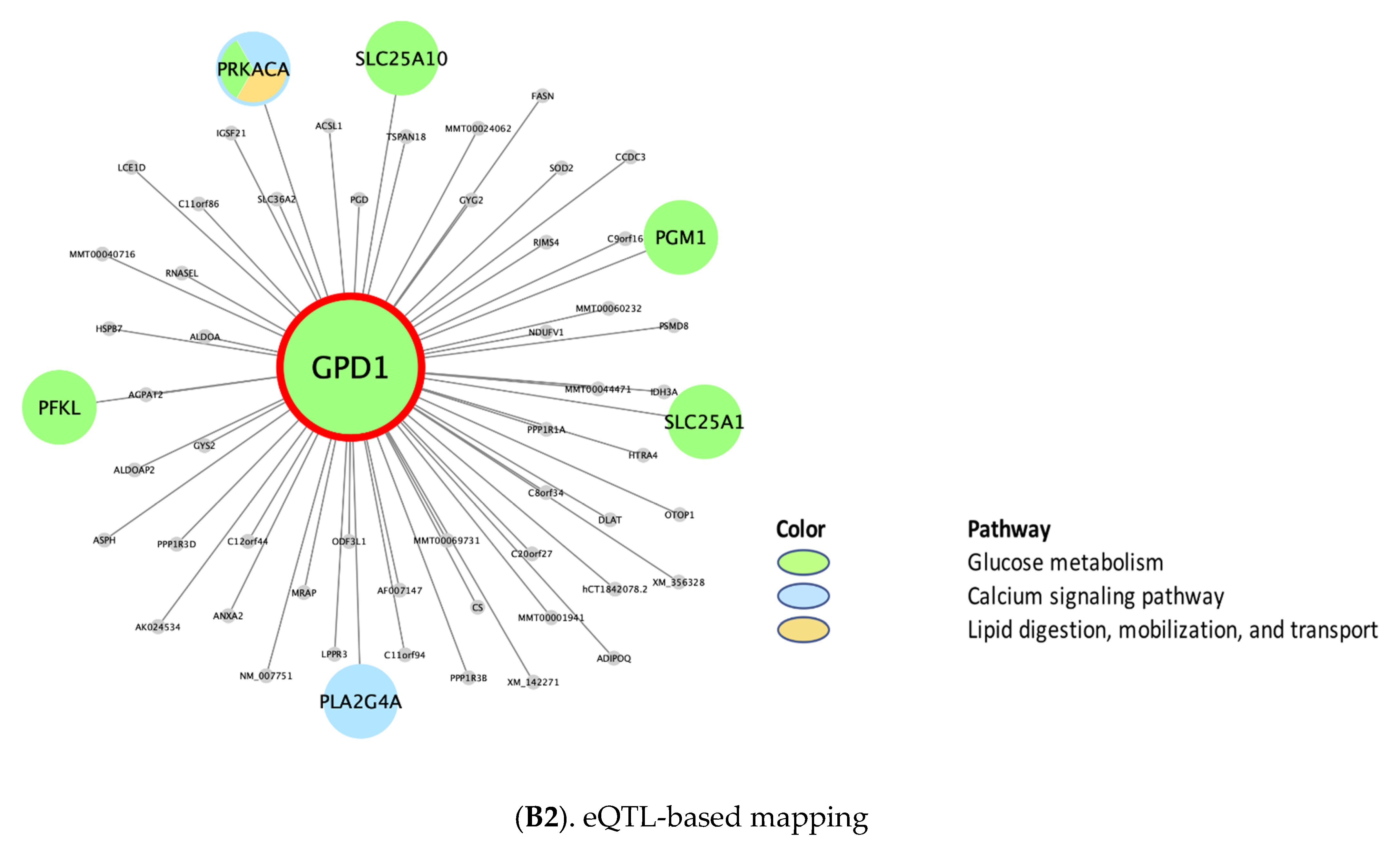Biomolecules 11 01379 g003b