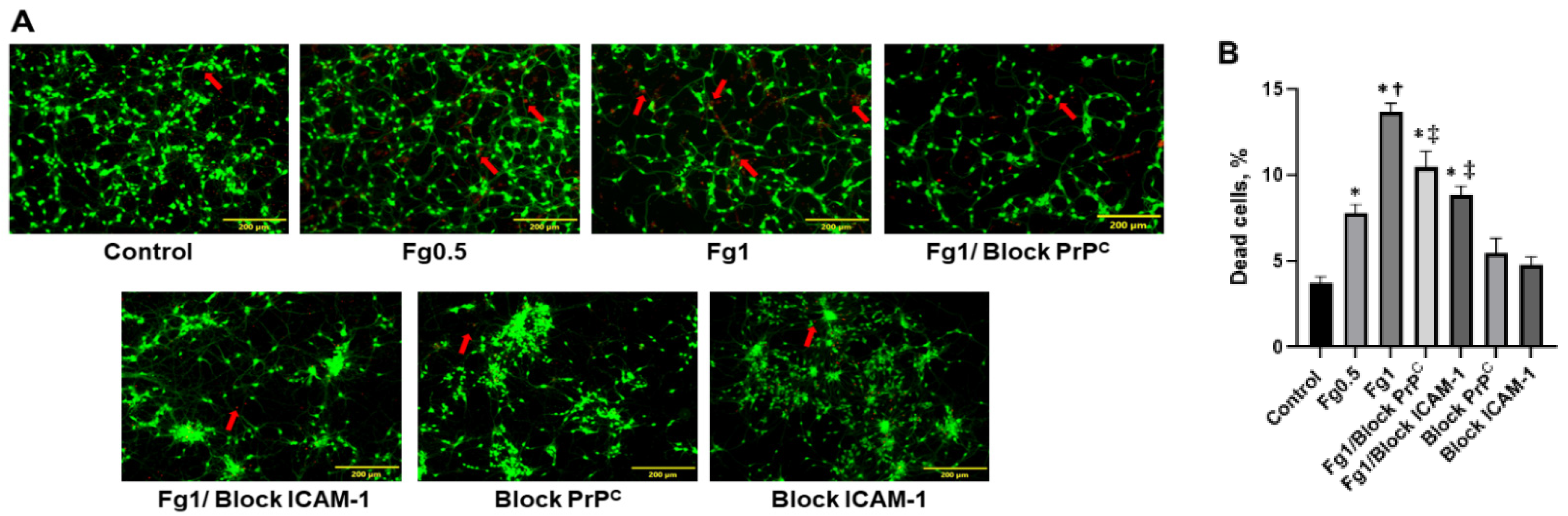 Biomolecules 11 01381 g001