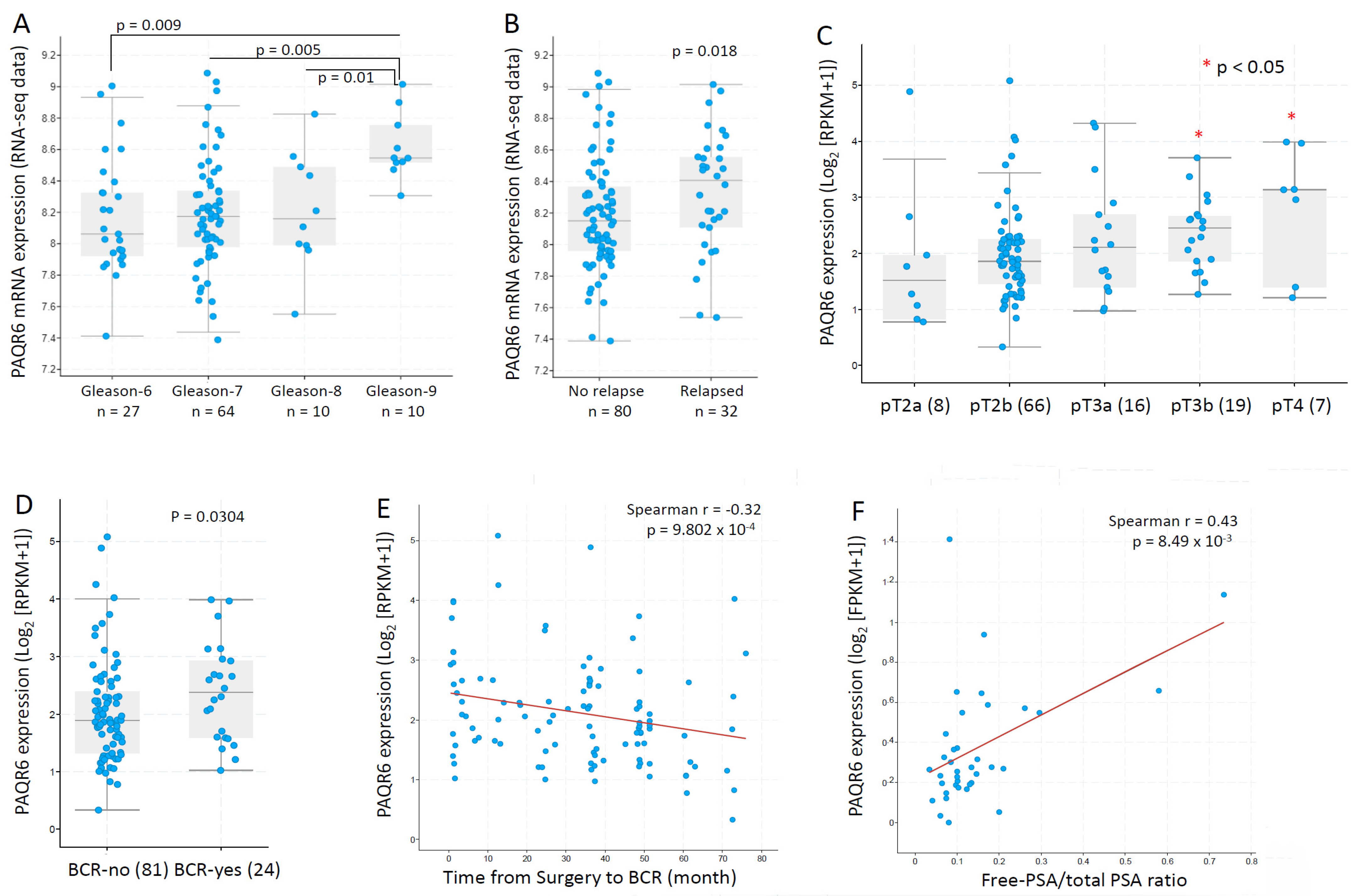 Biomolecules 11 01383 g005