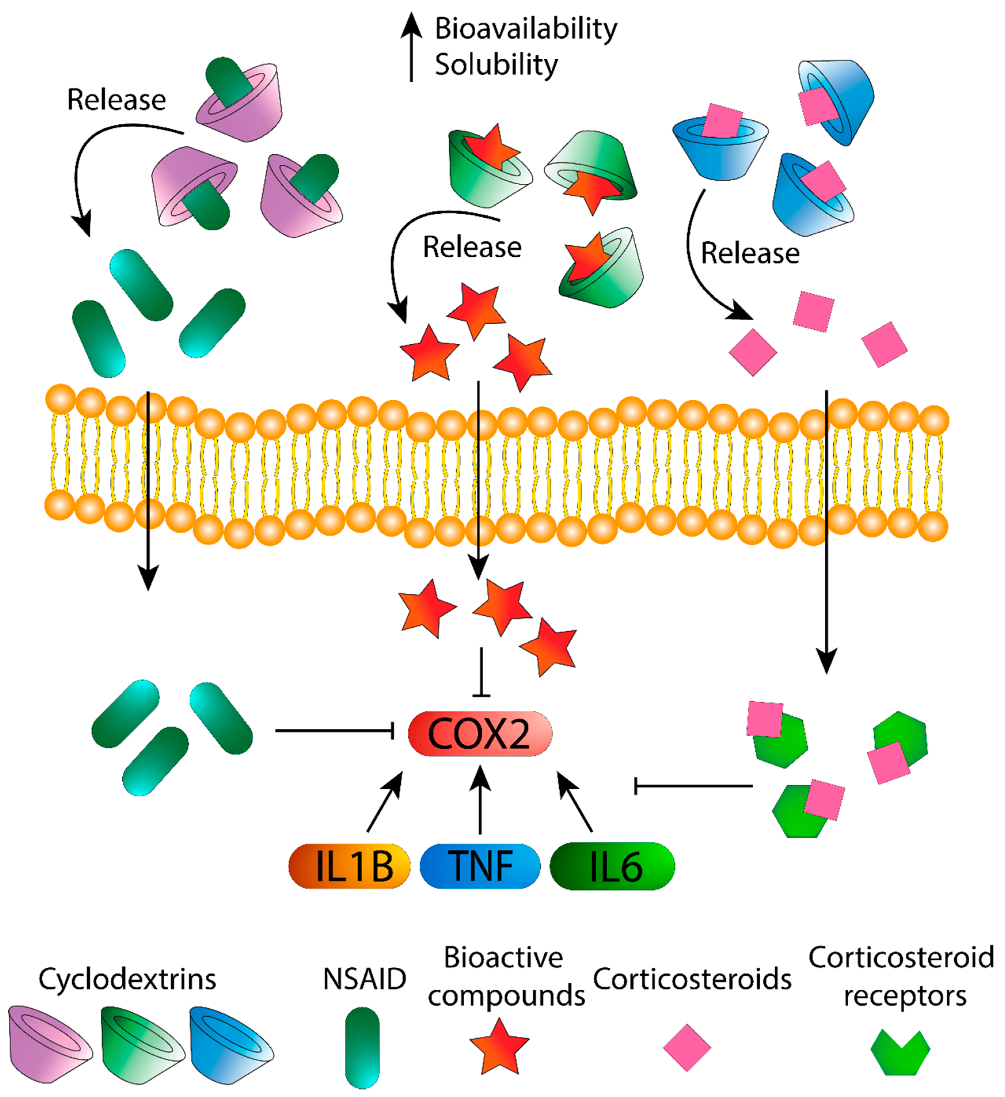 Biomolecules 11 01384 g001