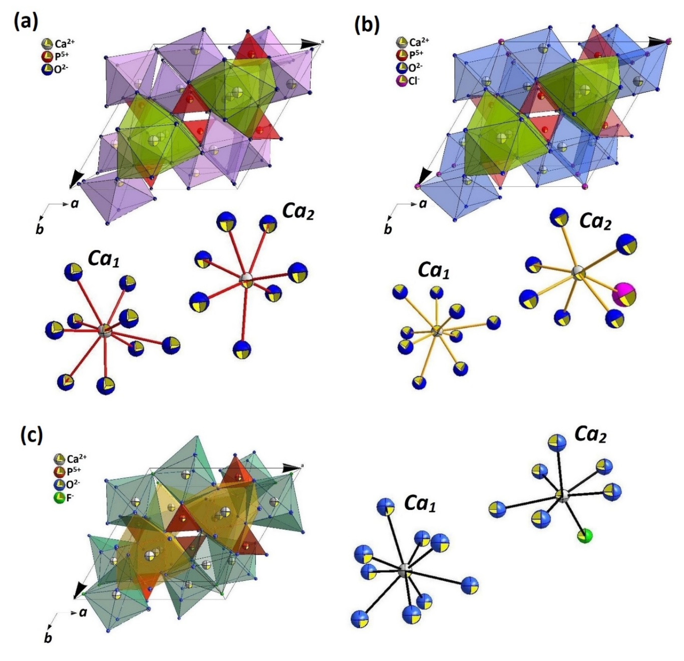 Biomolecules 11 01388 g001