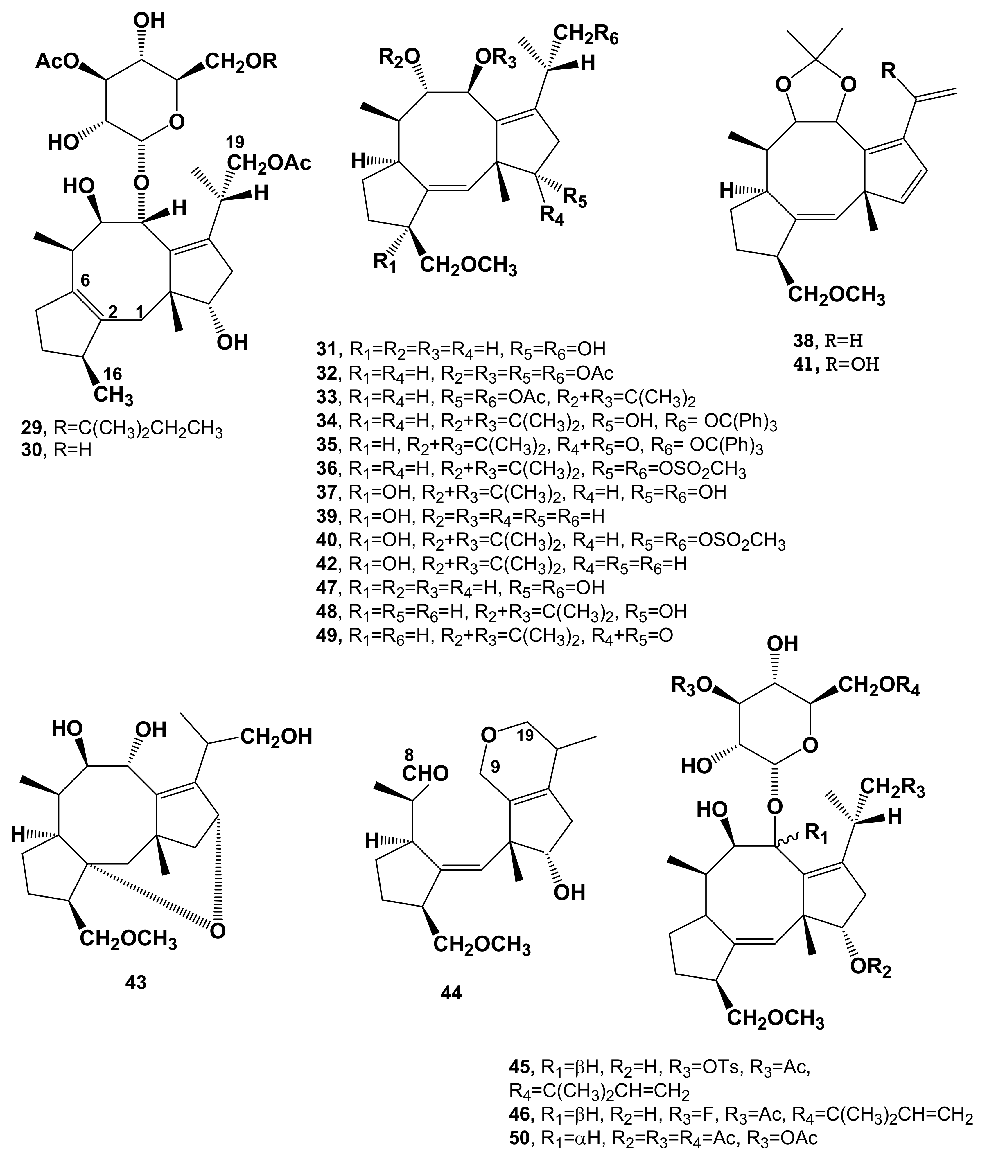 Biomolecules 11 01393 g003