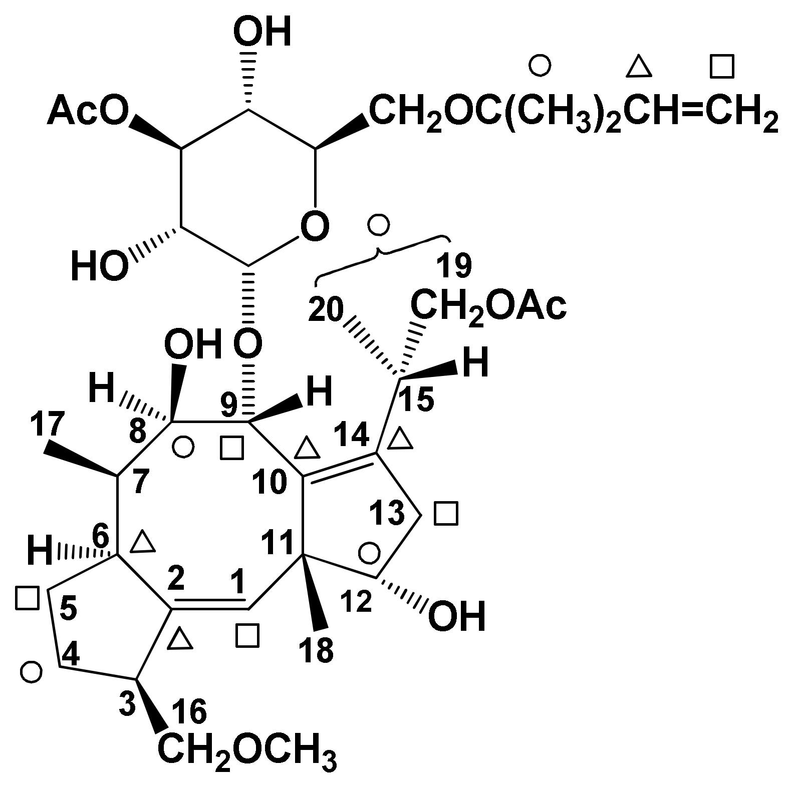 Biomolecules 11 01393 g004