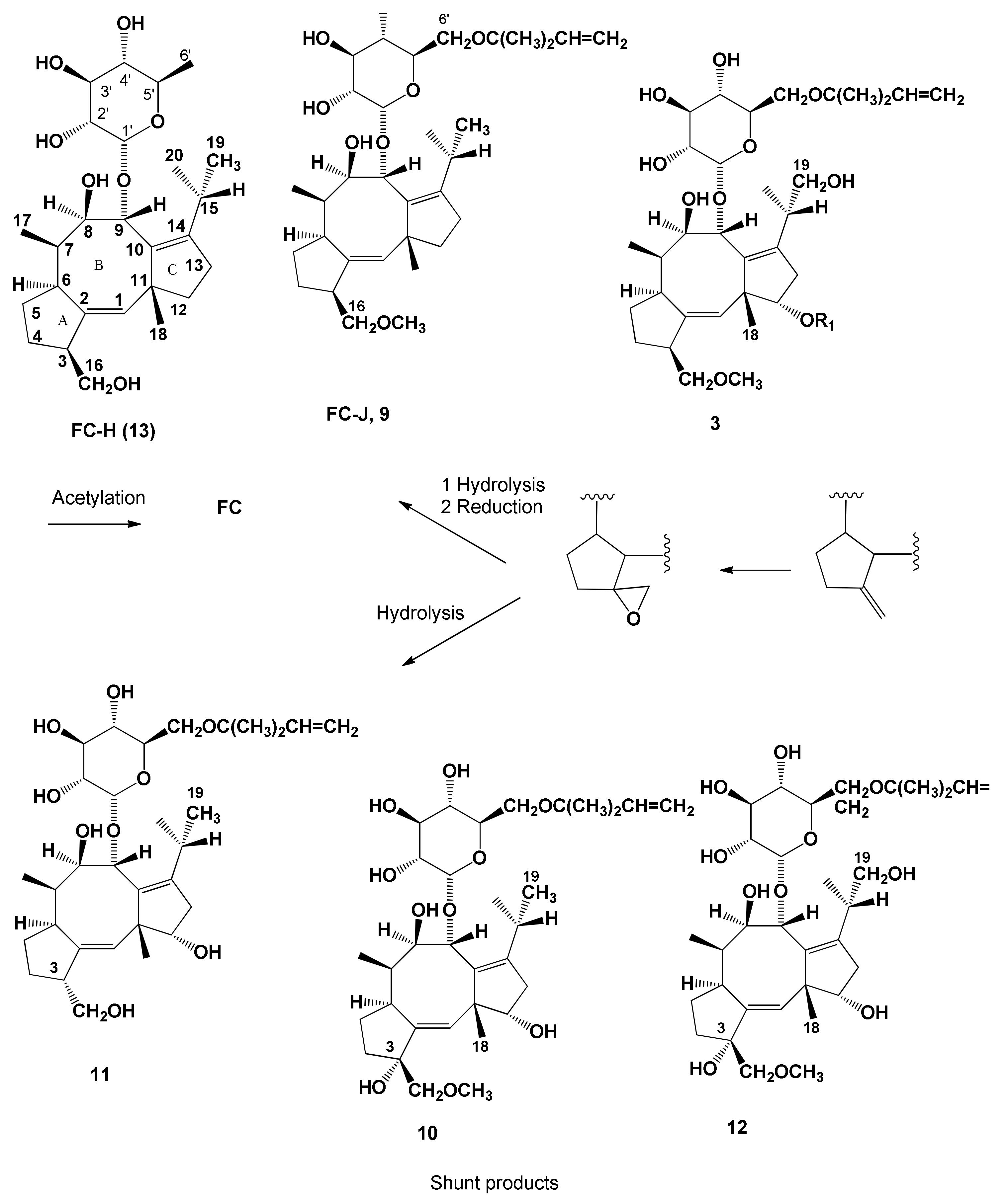Biomolecules 11 01393 g006