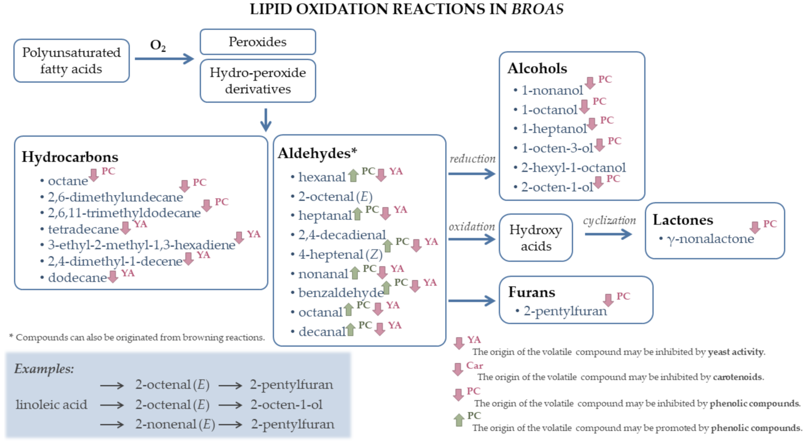 Biomolecules 11 01396 g004