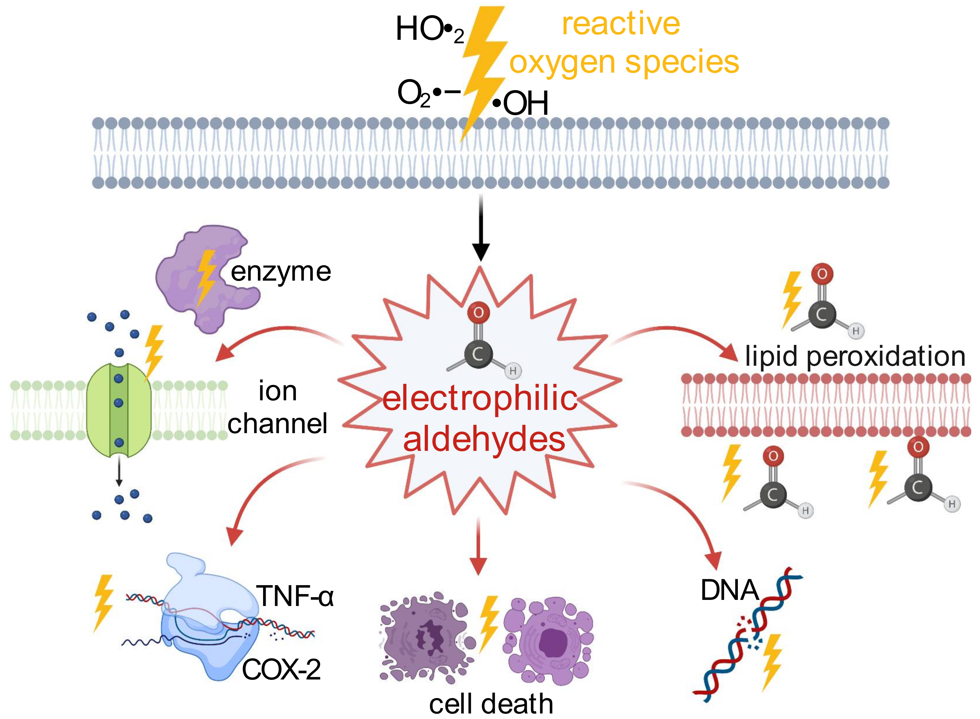 Biomolecules 11 01401 g001