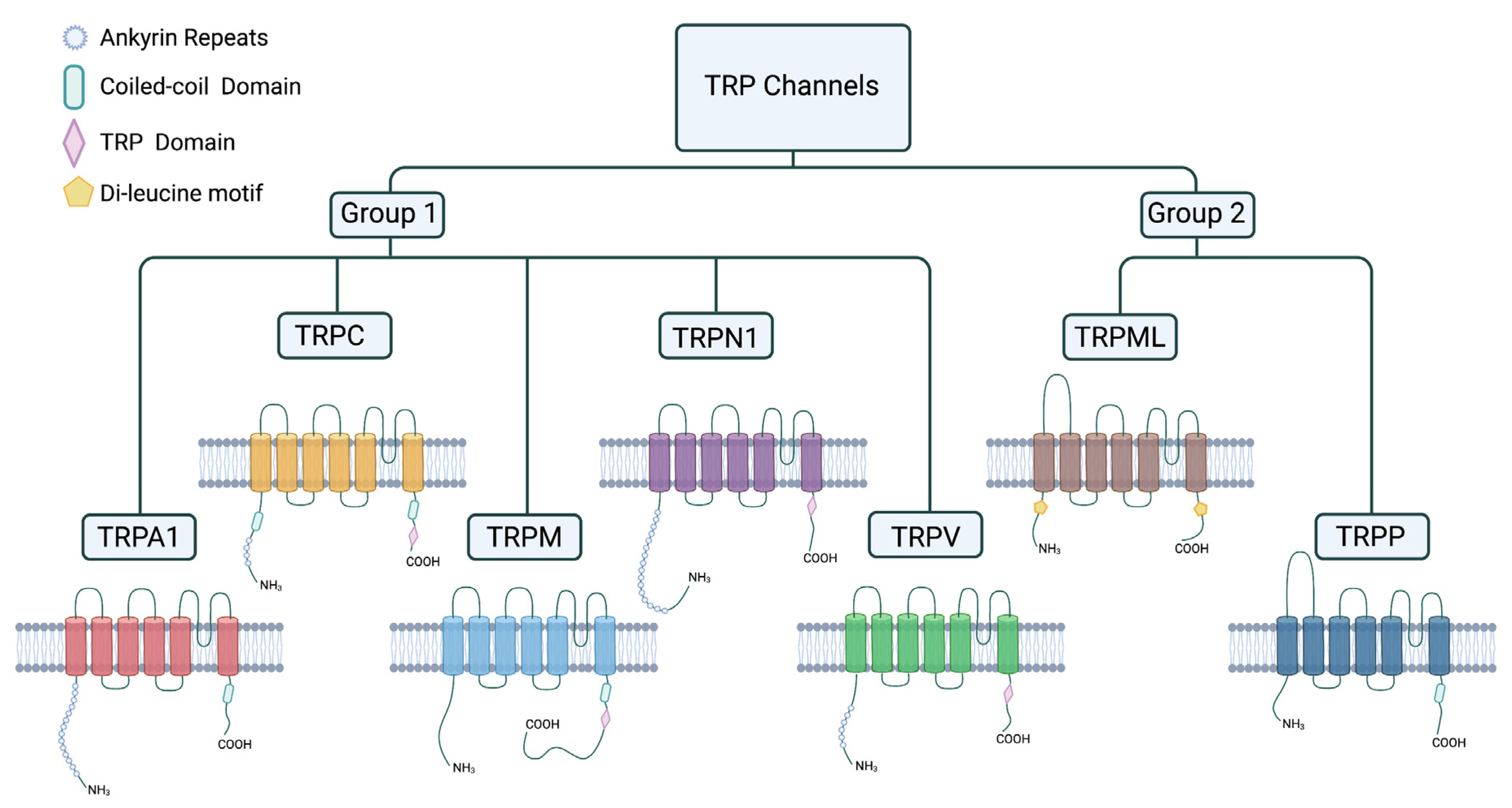 Biomolecules 11 01401 g002