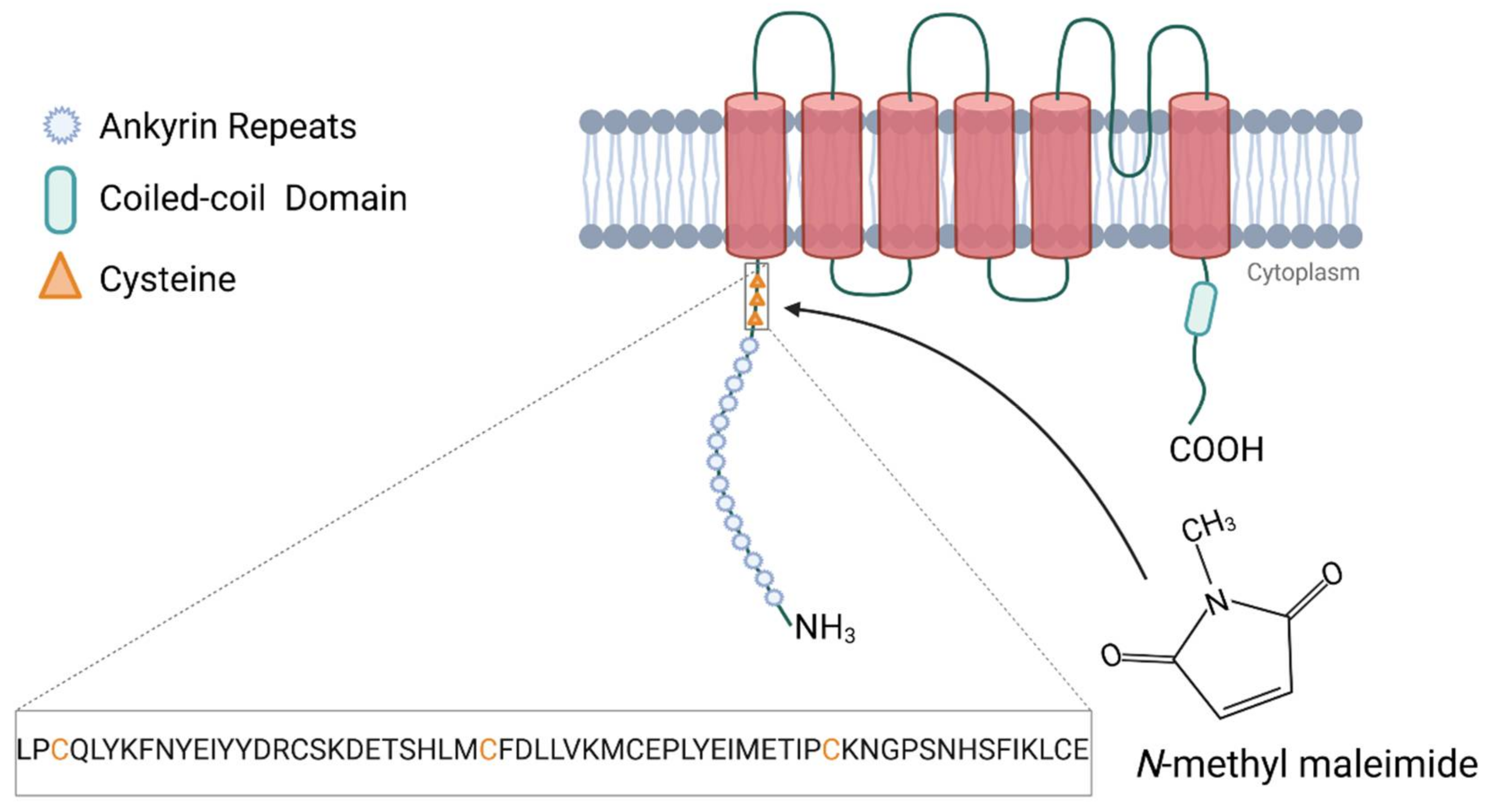 Biomolecules 11 01401 g003