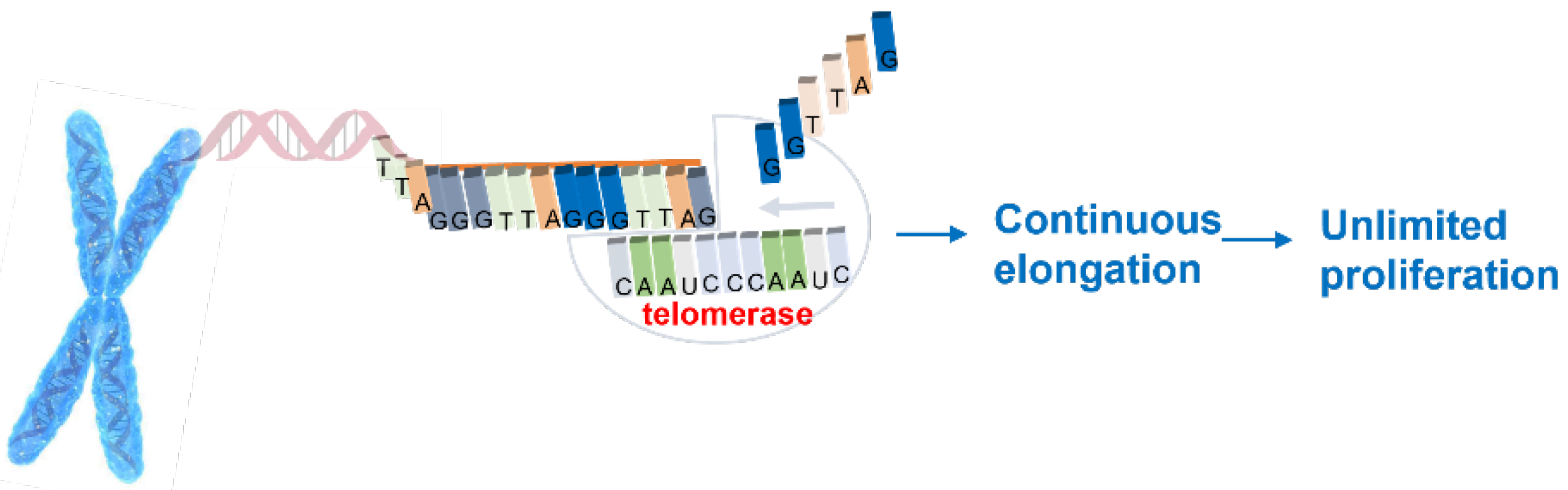 Biomolecules 11 01404 g001