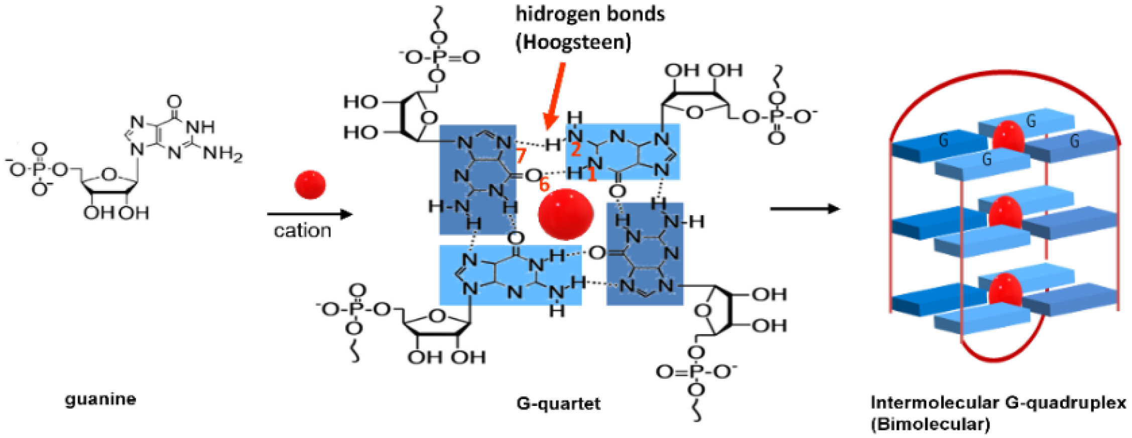 Biomolecules 11 01404 g002