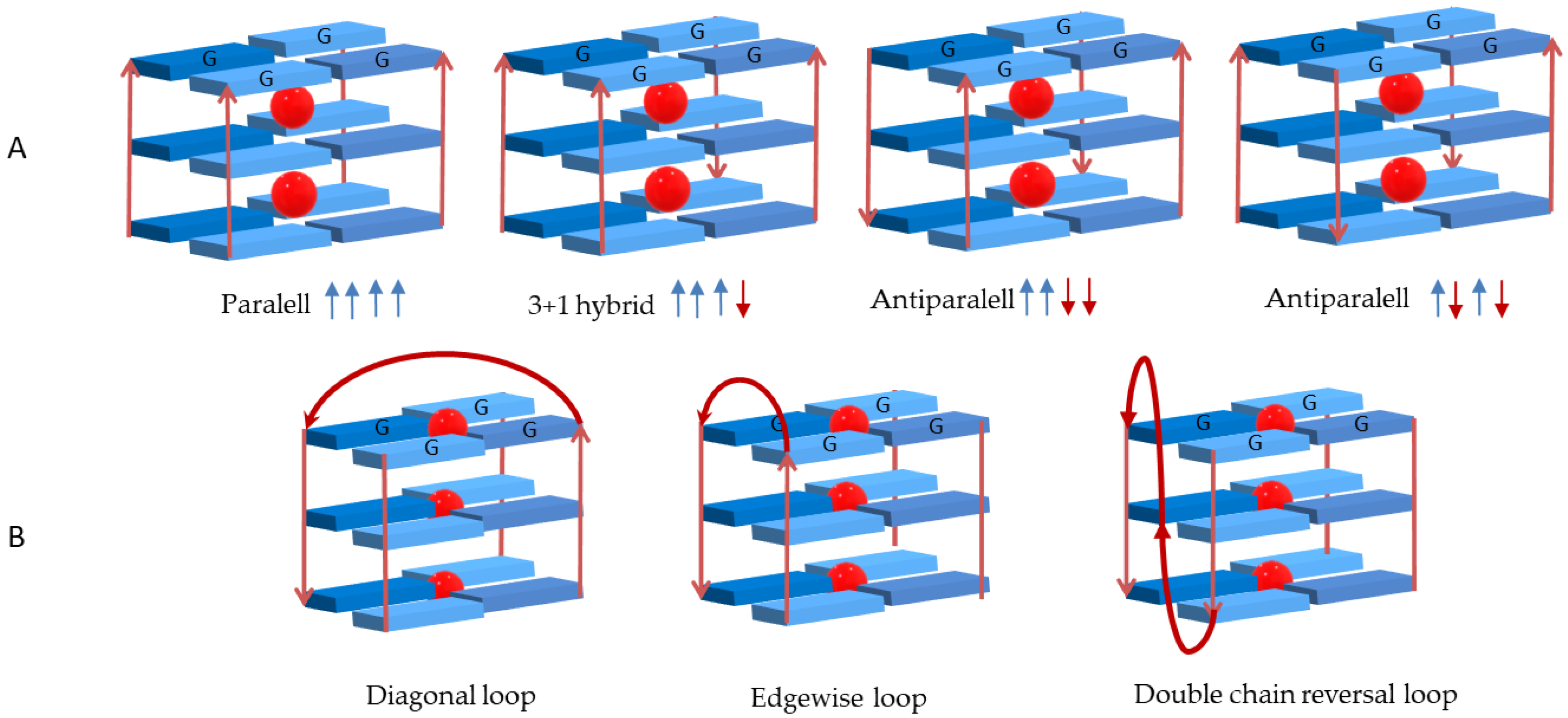 Biomolecules 11 01404 g004
