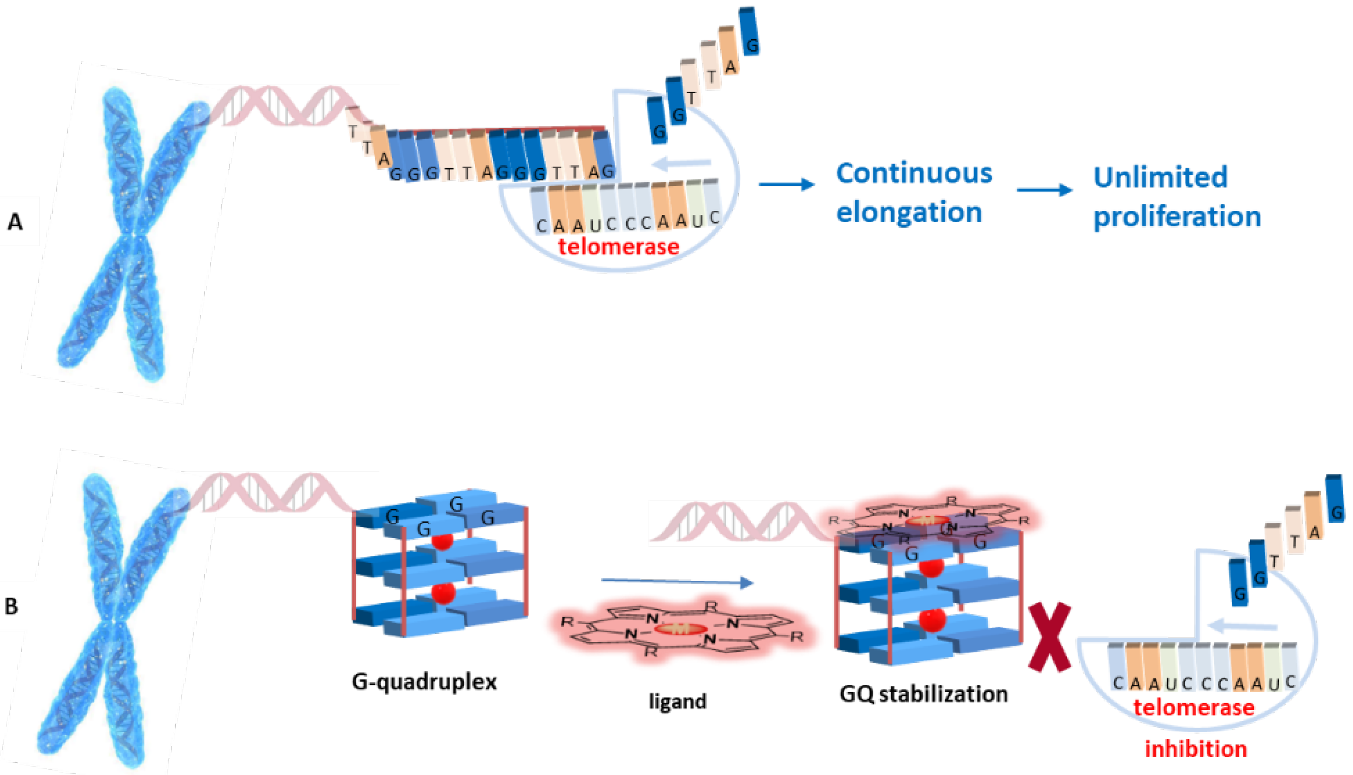 Biomolecules 11 01404 g006