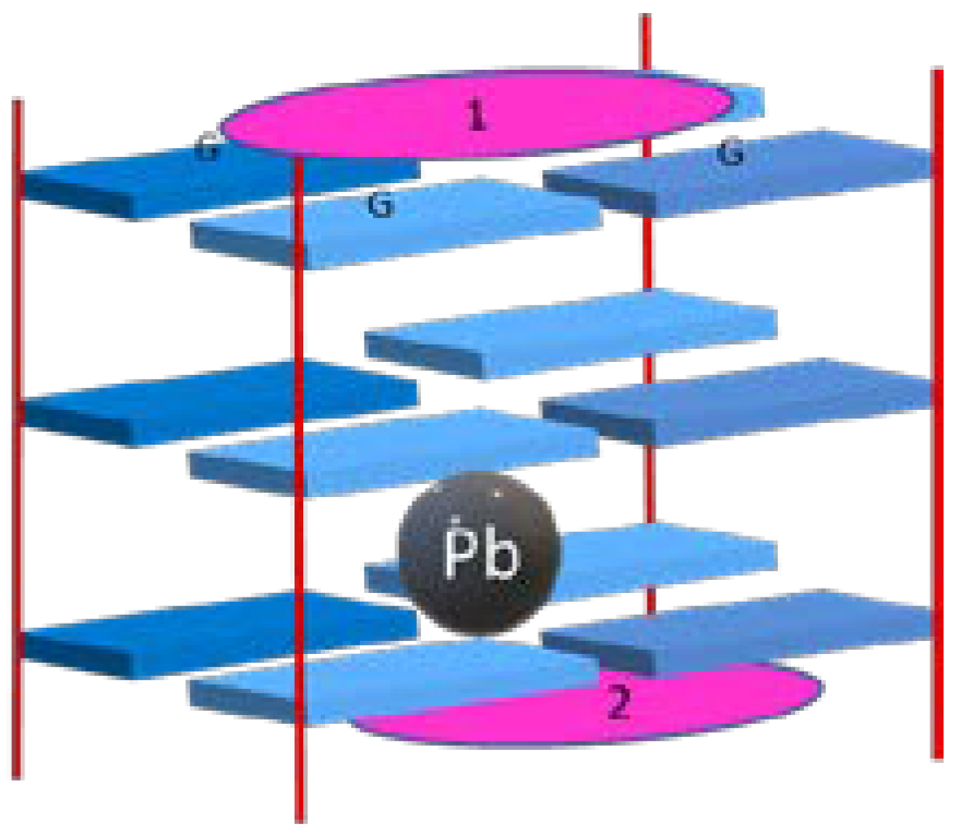 Biomolecules 11 01404 g013