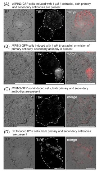 Biomolecules 11 01407 g0a1 Biomolecules 11 01407 g0a1