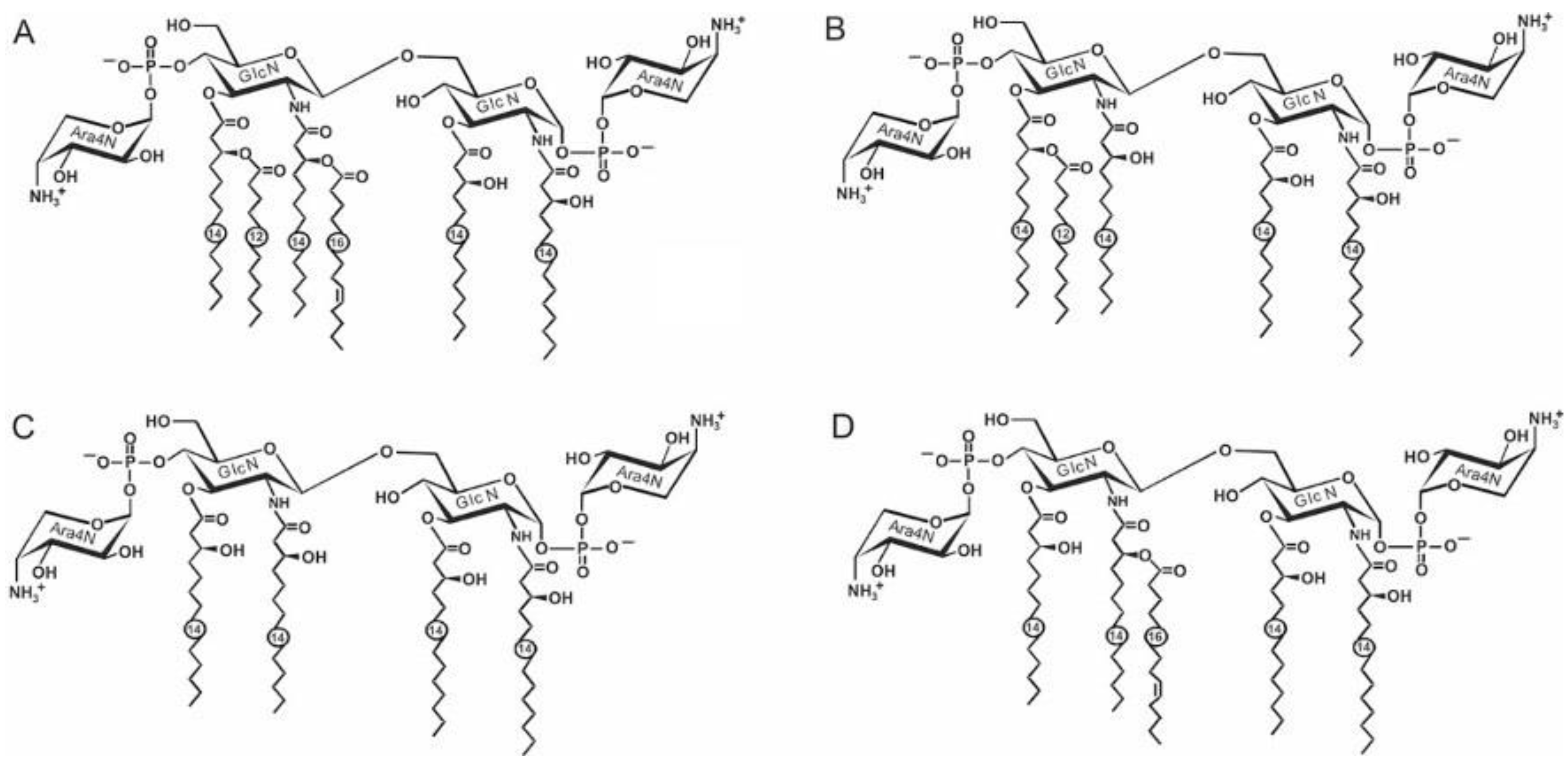 Biomolecules 11 01410 g001