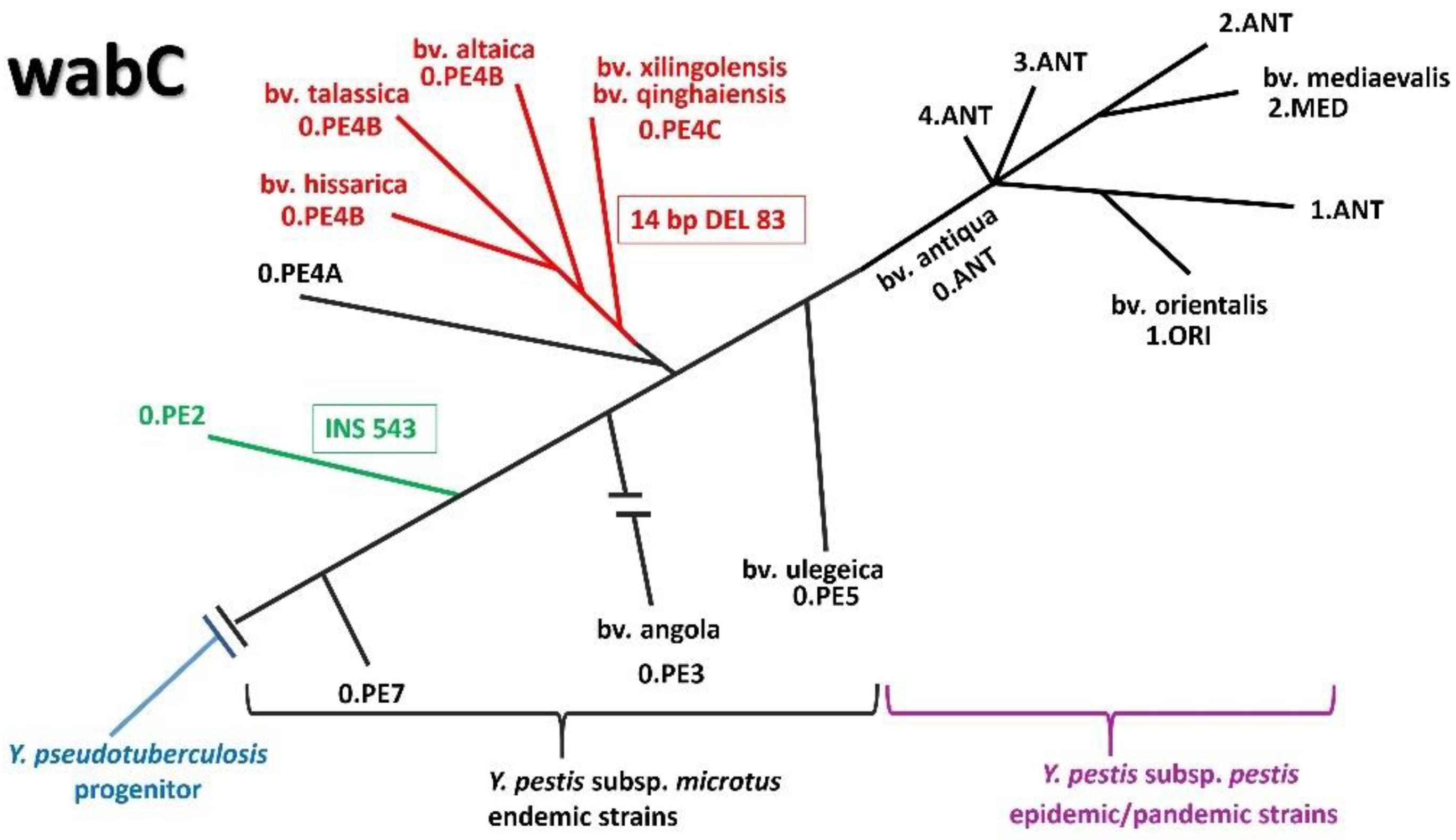 Biomolecules 11 01410 g002