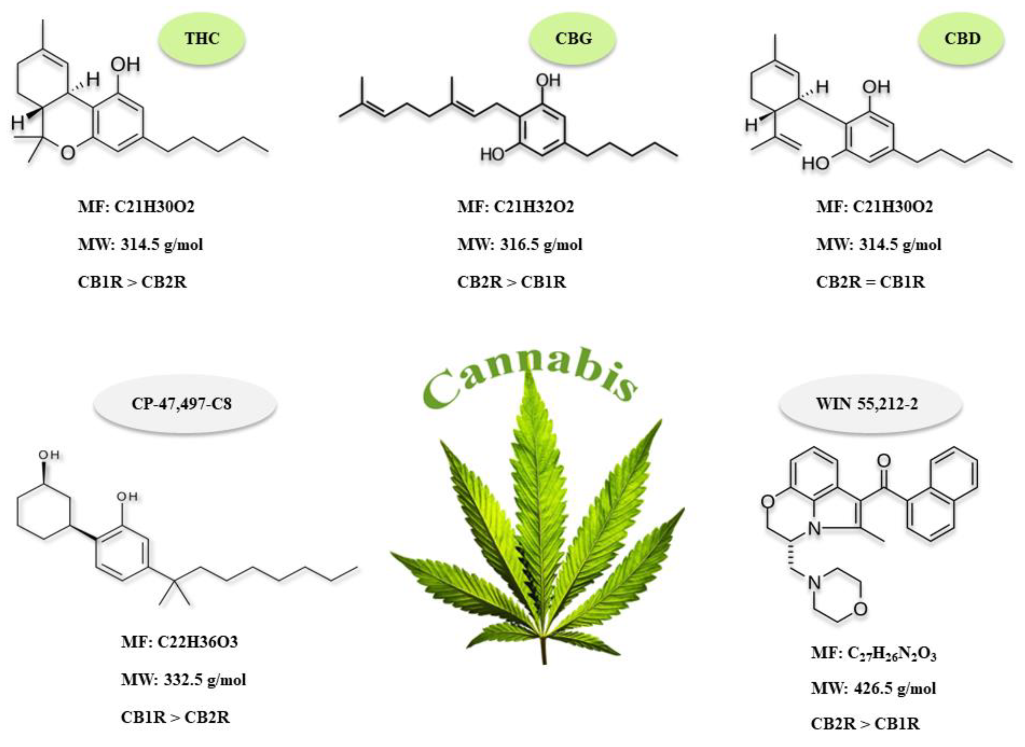 Biomolecules 11 01411 g002