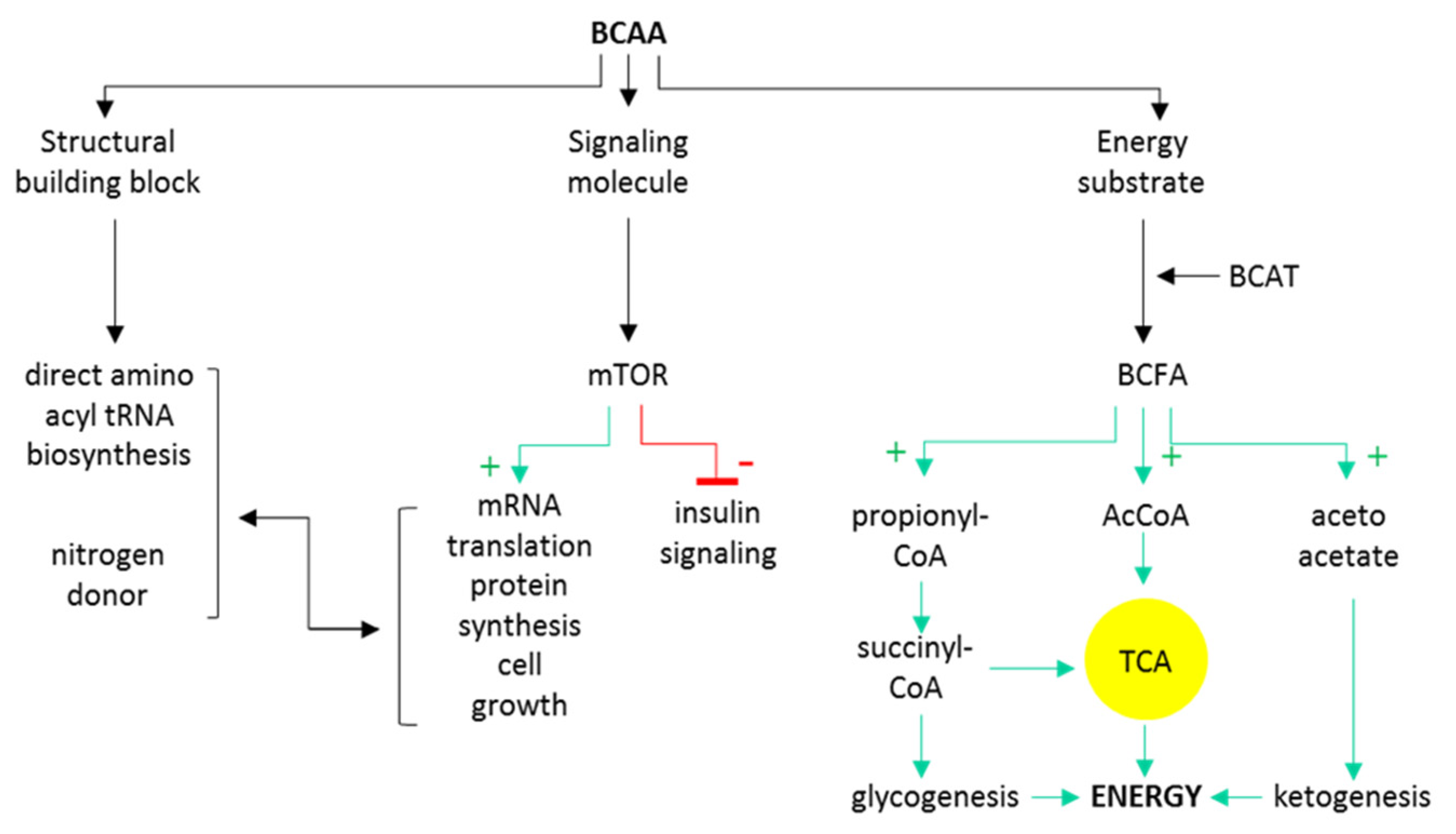 Biomolecules 11 01414 g001