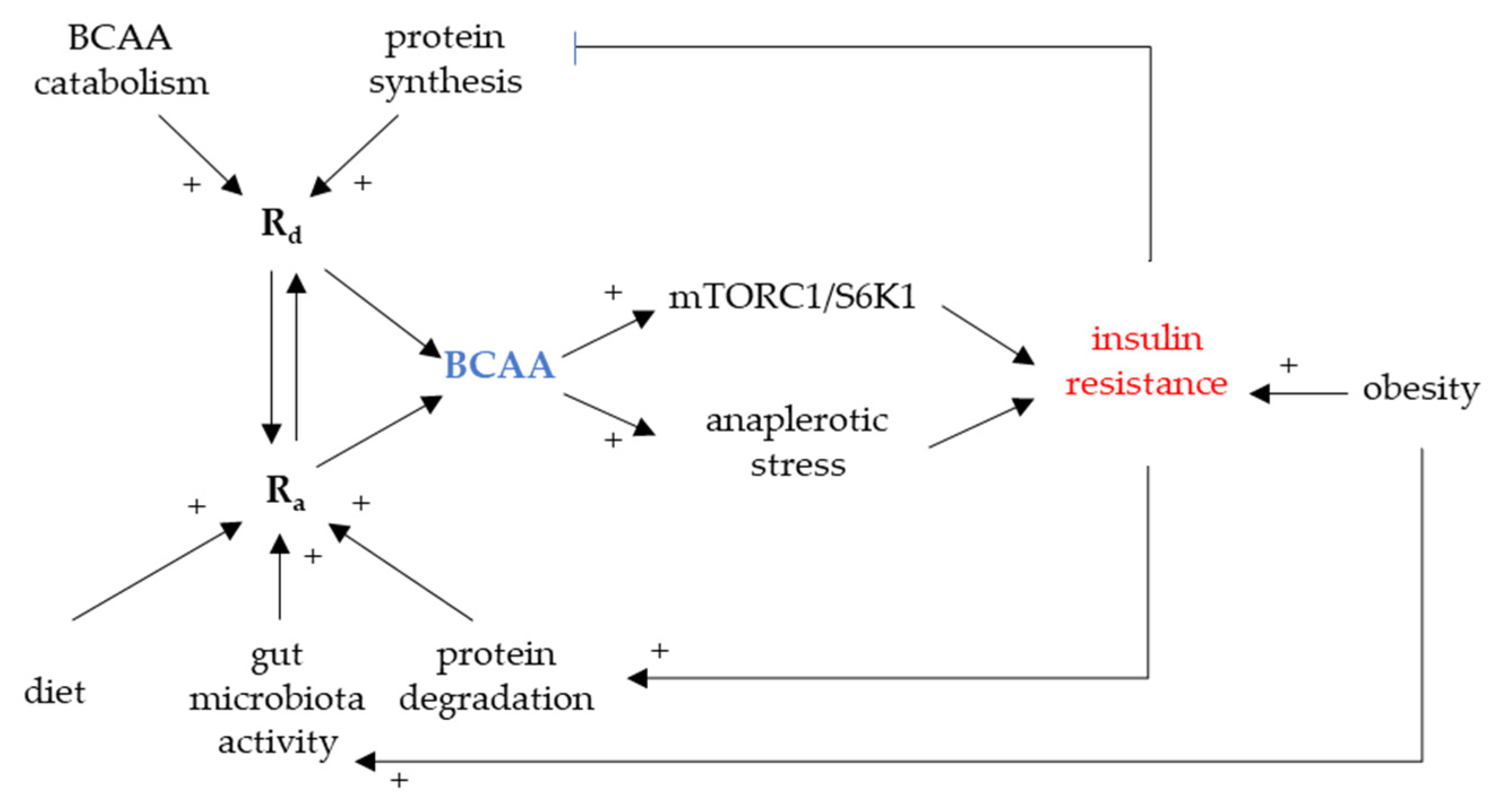 Biomolecules 11 01414 g002
