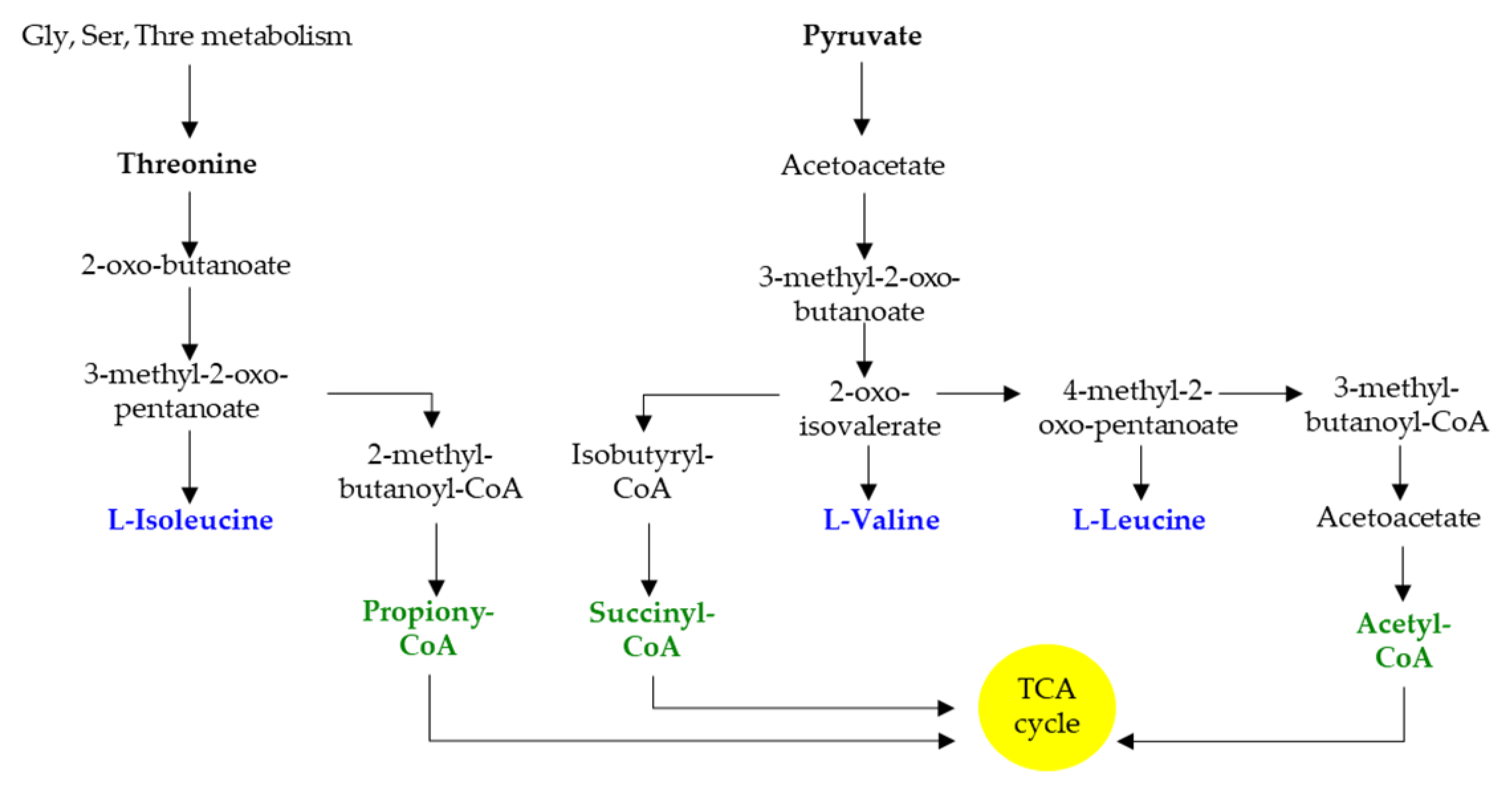 Biomolecules 11 01414 g003