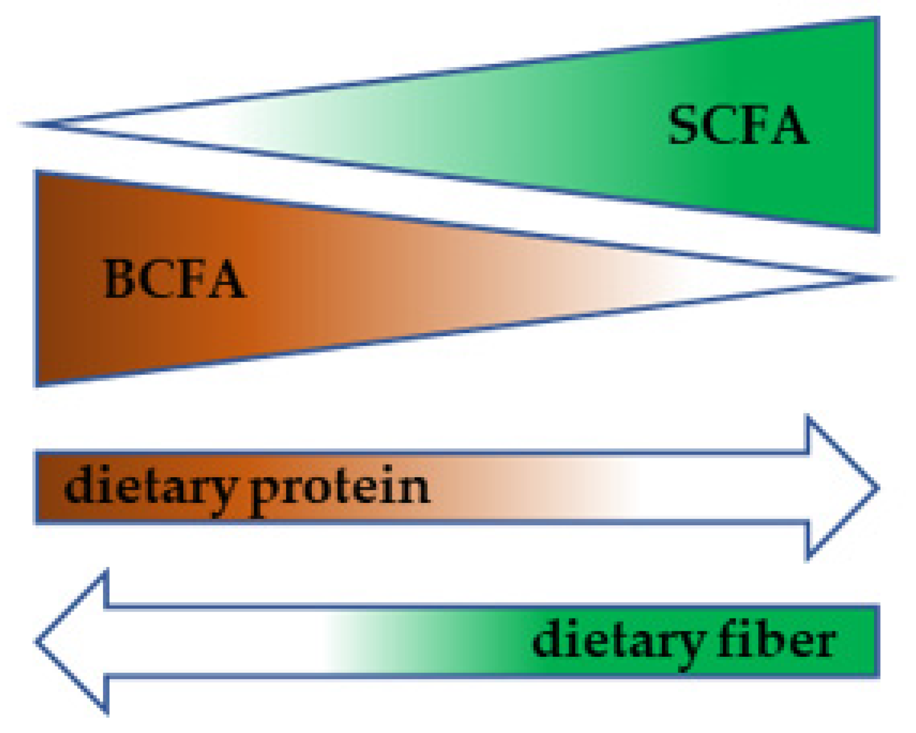Biomolecules 11 01414 g004