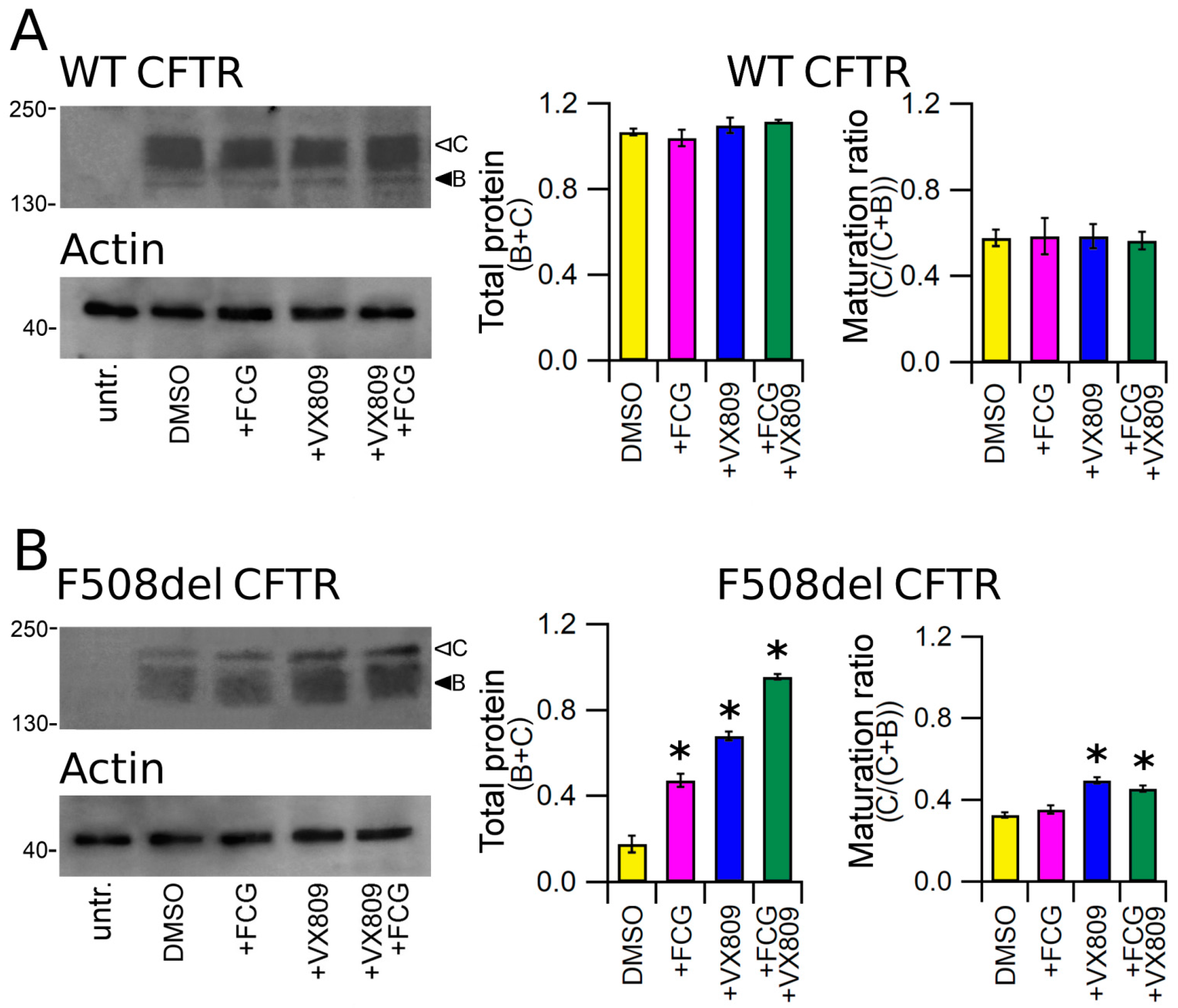 Biomolecules 11 01417 g001