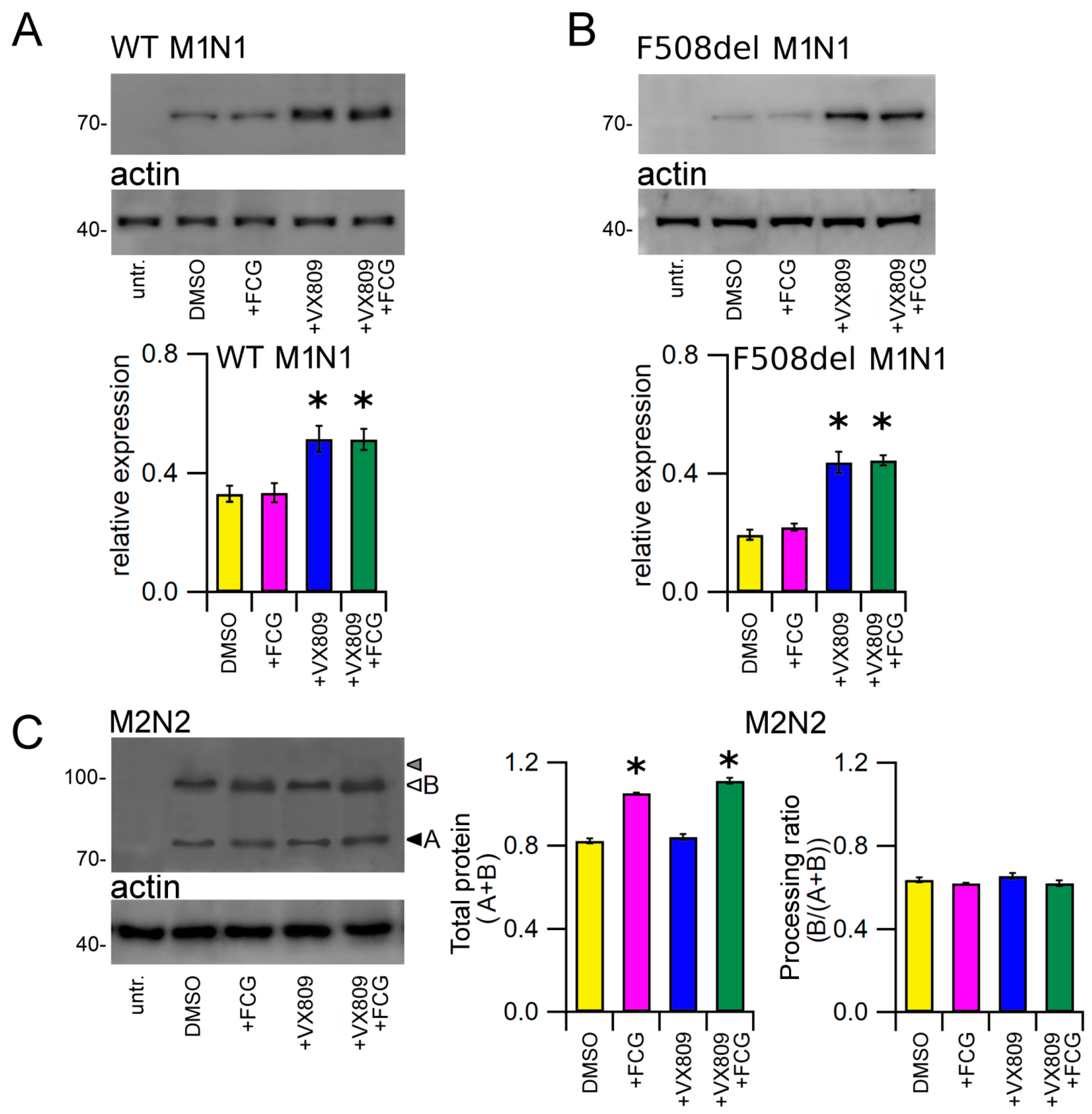 Biomolecules 11 01417 g003