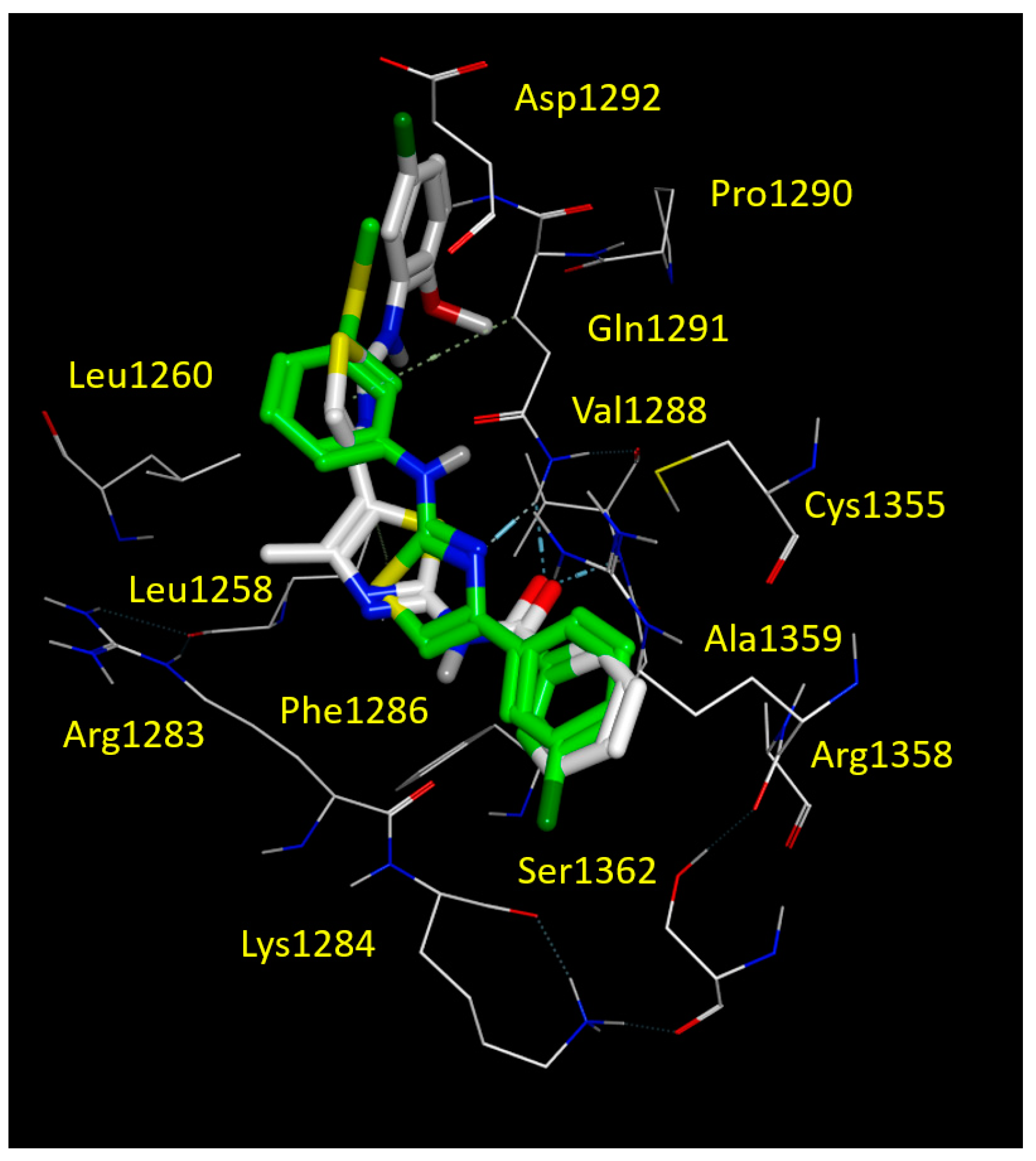 Biomolecules 11 01417 g007