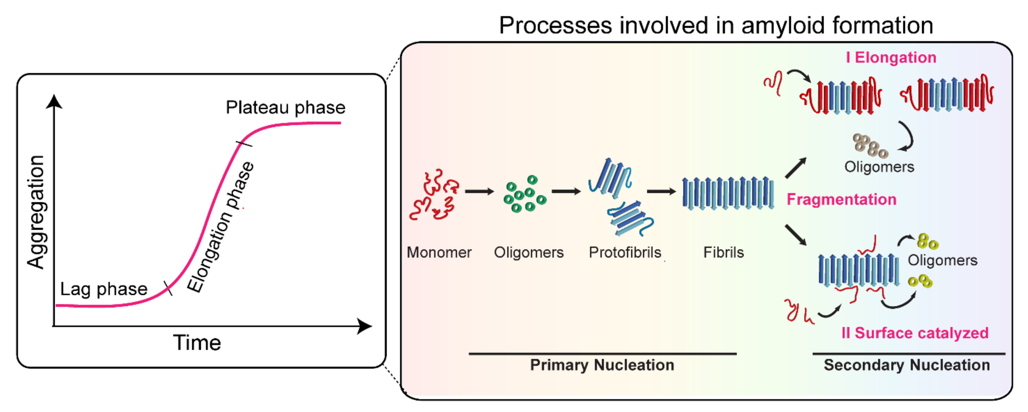 Biomolecules 11 01419 g002