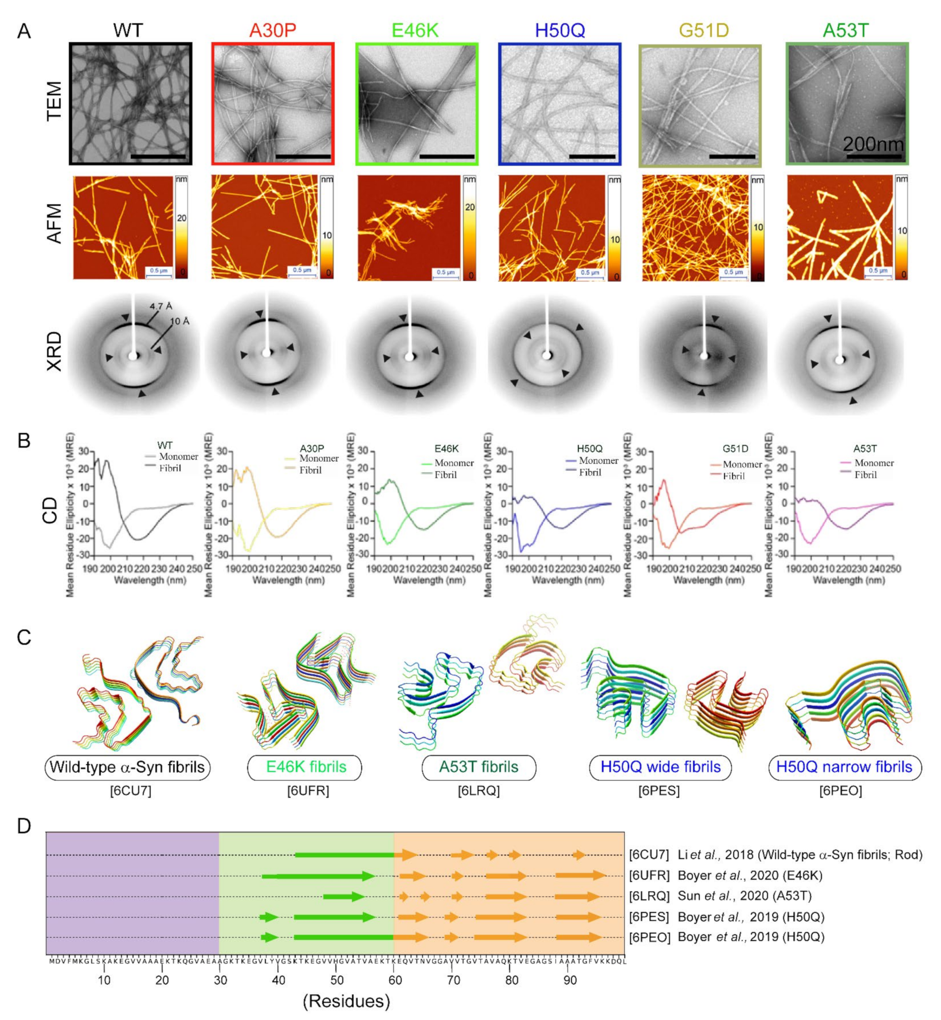 Biomolecules 11 01419 g004