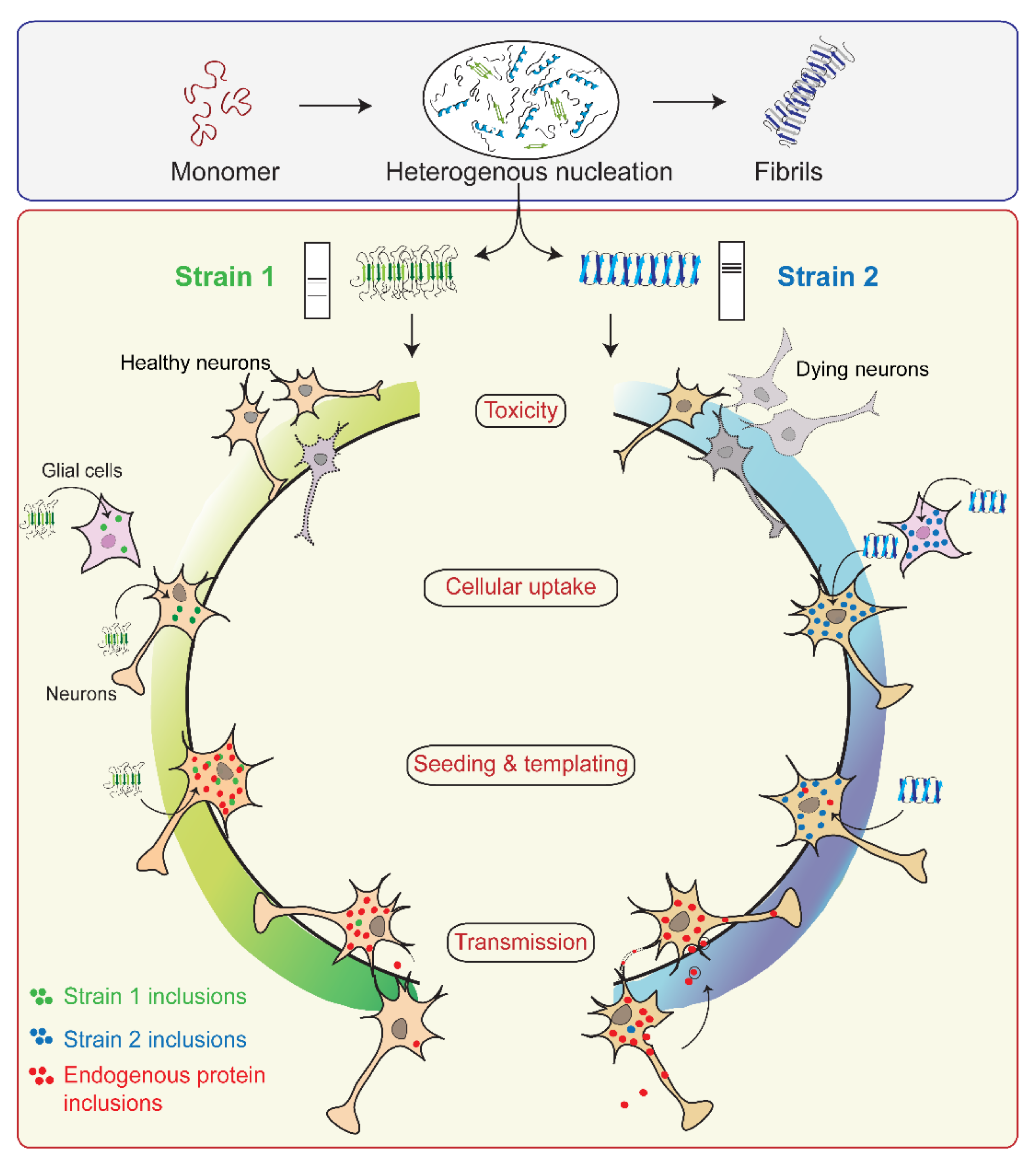 Biomolecules 11 01419 g005