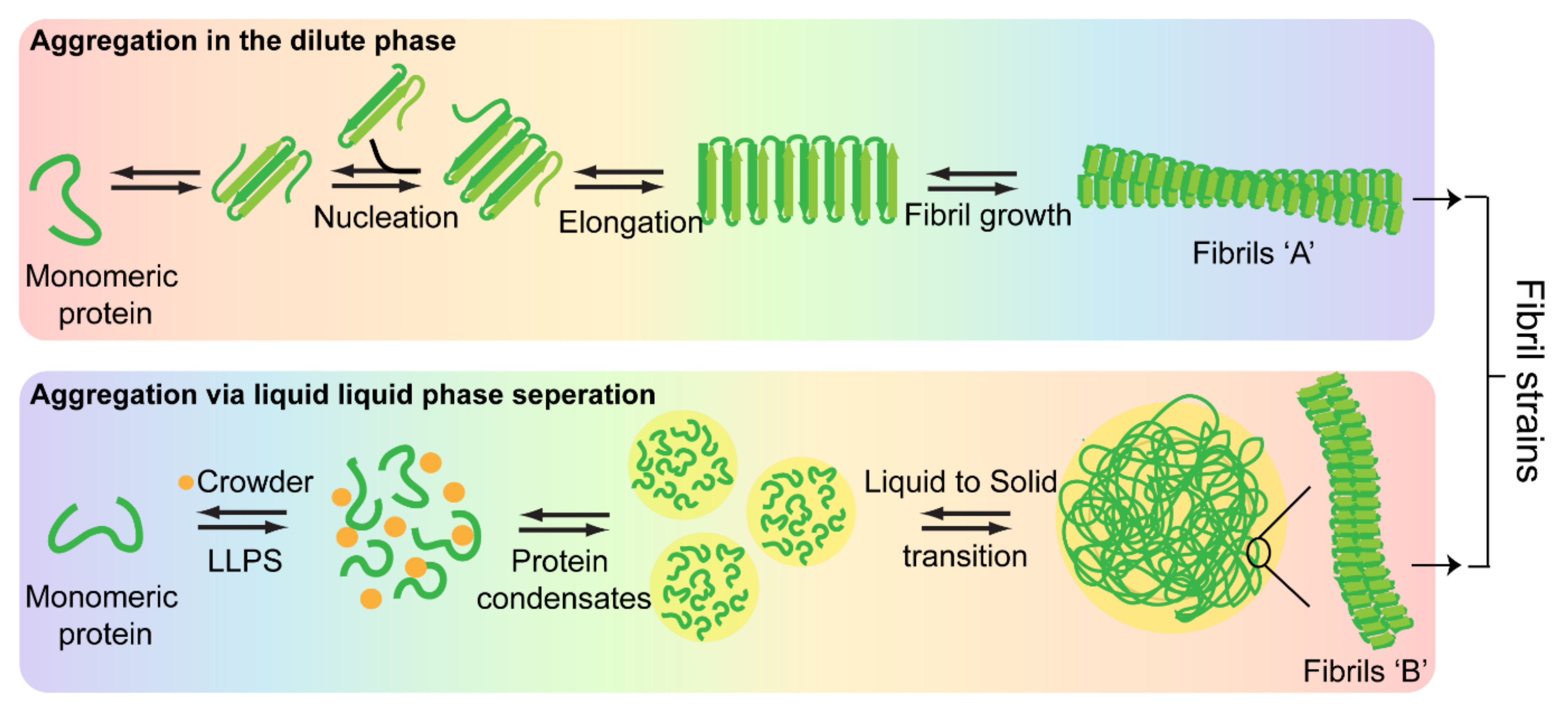 Biomolecules 11 01419 g006