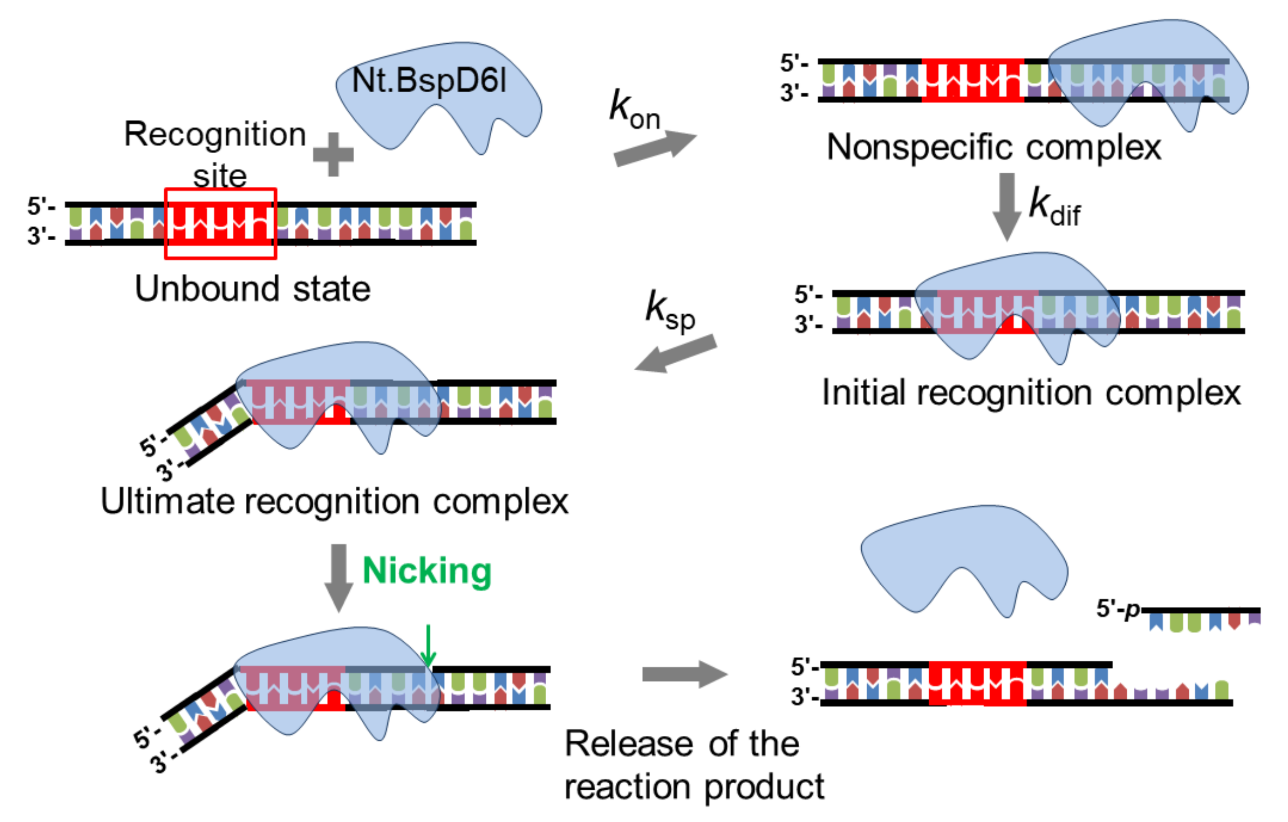 Biomolecules 11 01420 g006 Biomolecules 11 01420 g006