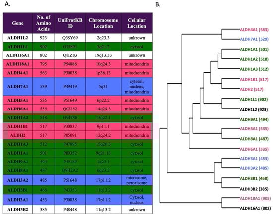 Biomolecules 11 01423 g001 550