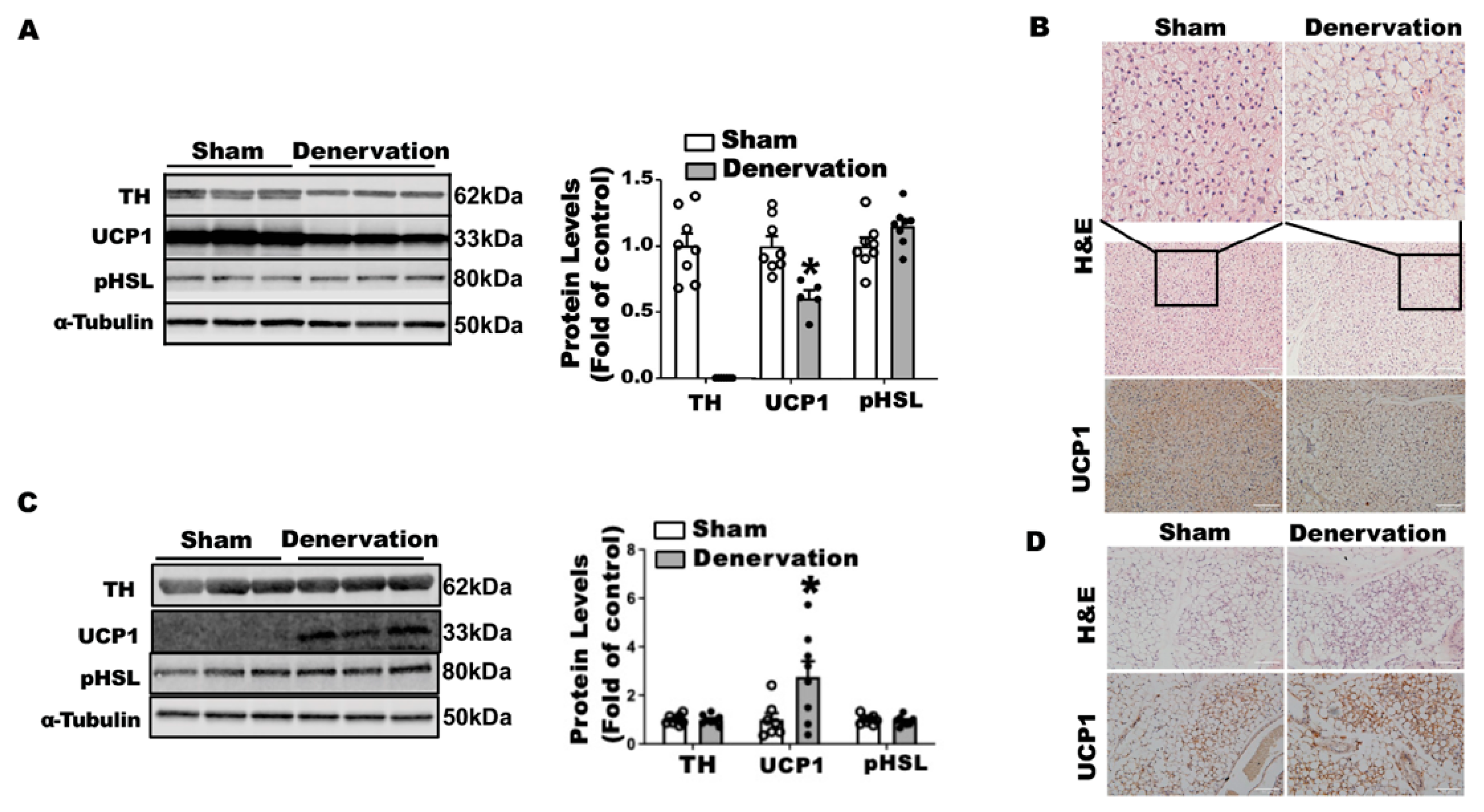 Biomolecules 11 01428 g004